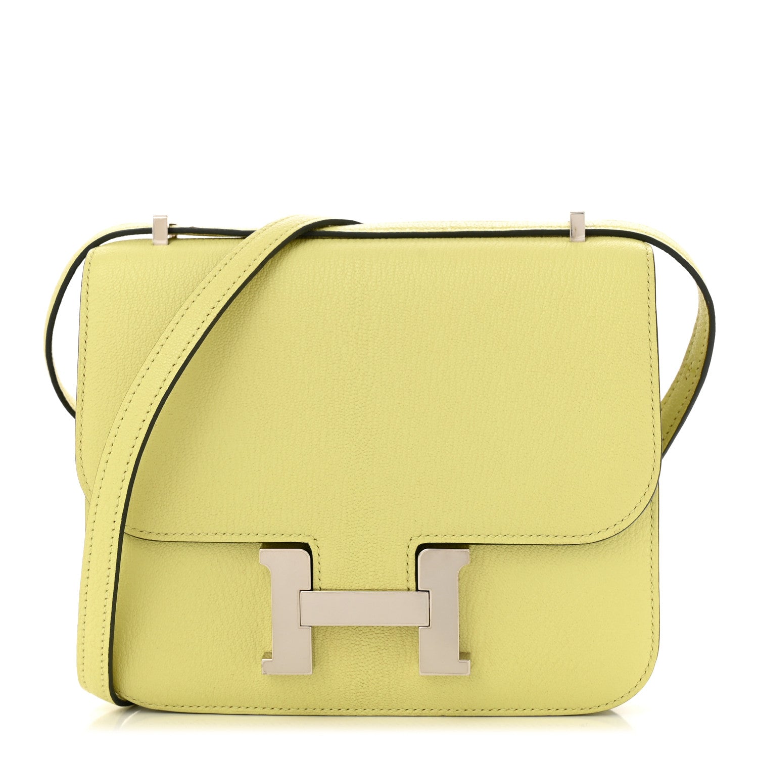 Chevre Mysore Constance 18 Jaune Bourgeon