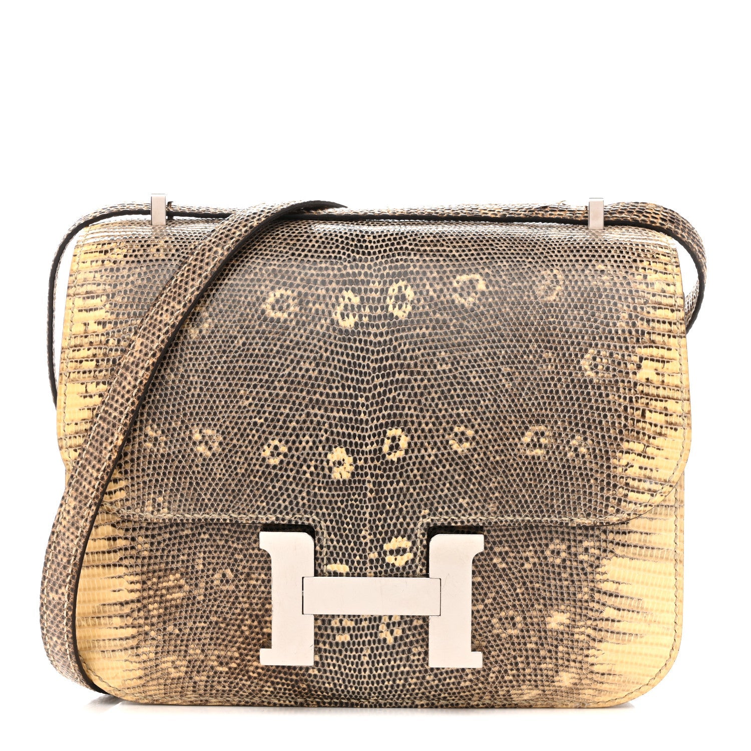 Lizard Constance 18 Ombre