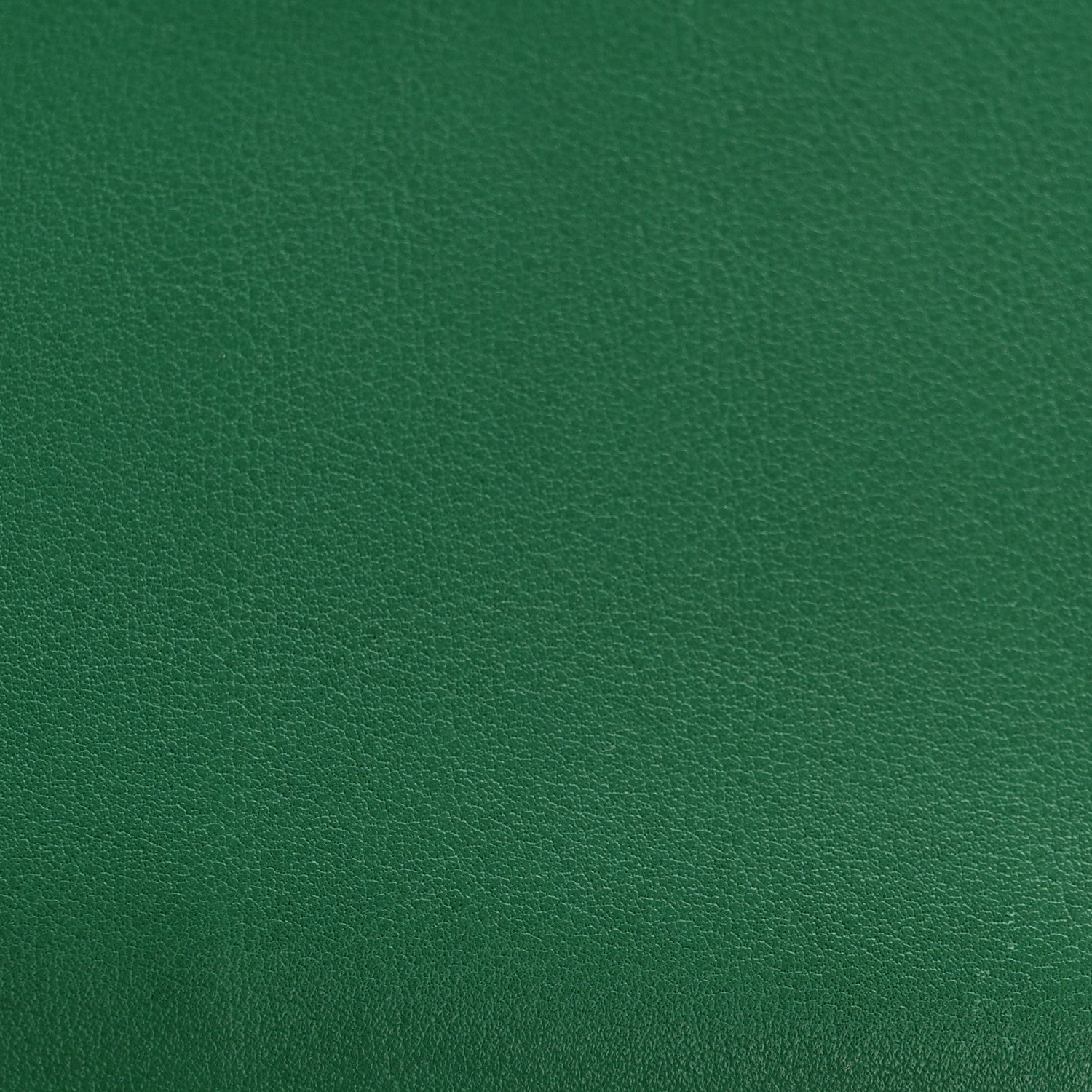 Swift Birkin 25 Vert Vertigo