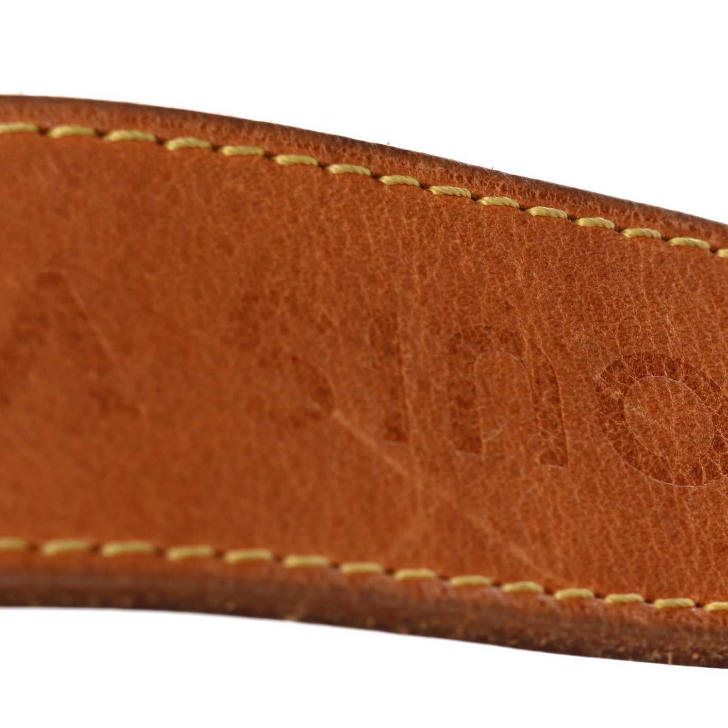 Monogram Delightful PM