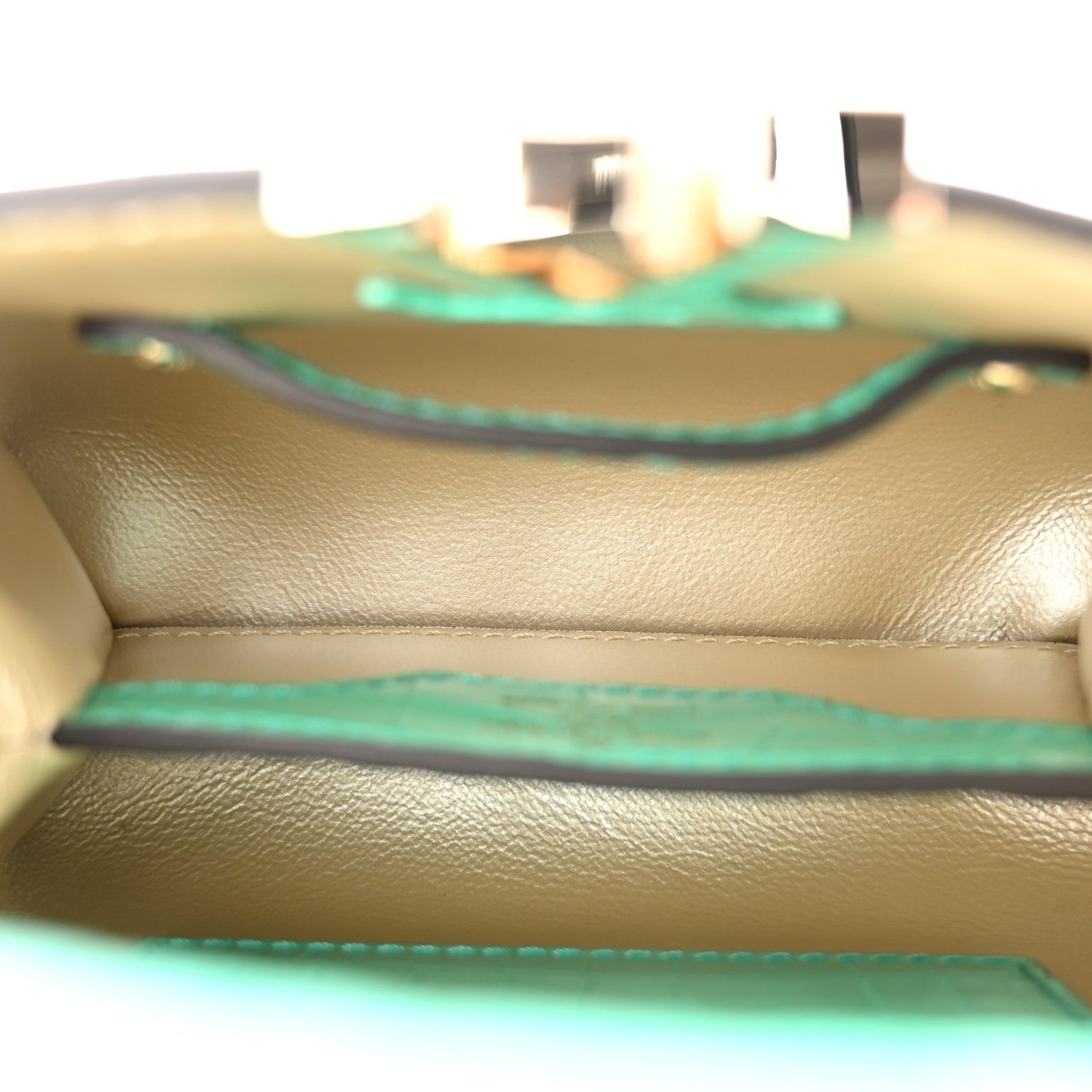 Iridescent Alligator Nano Capucines