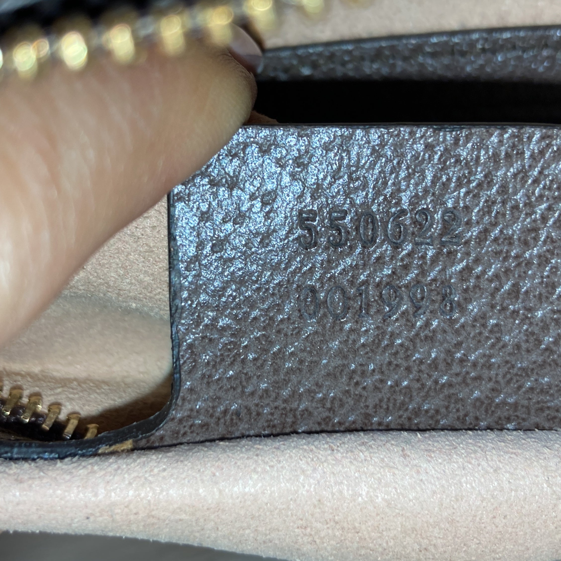 Ophidia Zip Around Camera Bag GG Coated Canvas Small