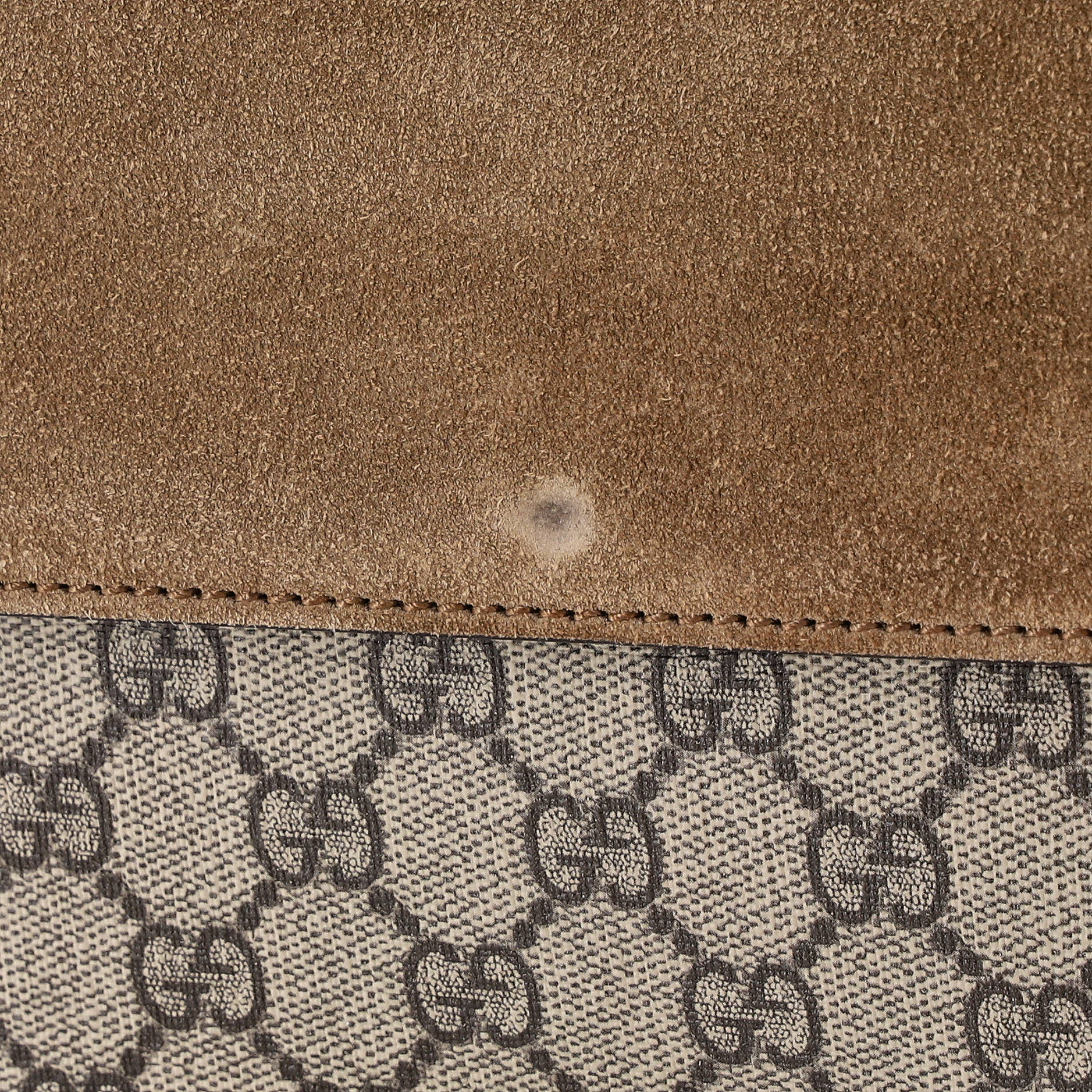 Dionysus Bag GG Coated Canvas Medium