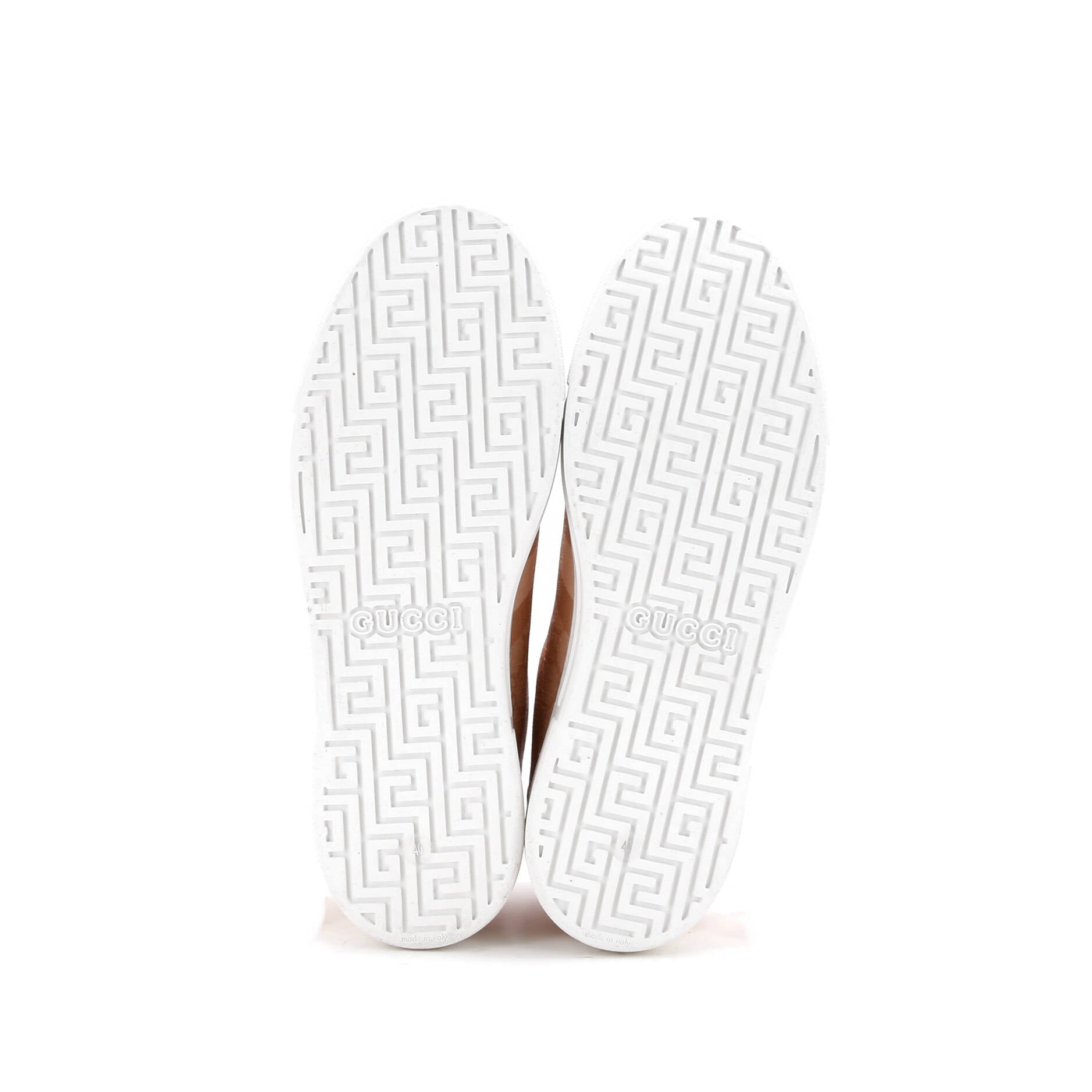 Ace Sneakers GG Coated Canvas
