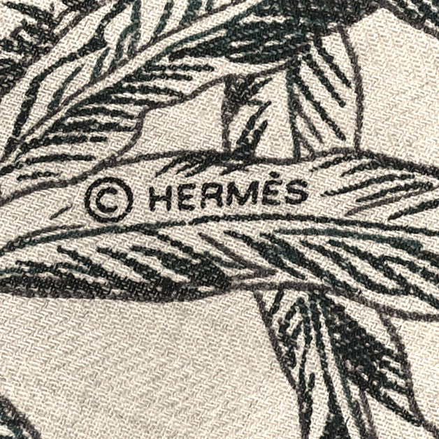 Cashmere Silk All 'Orto Botanico Di Palermo Shawl 140 Vert Loden Naturel Encre