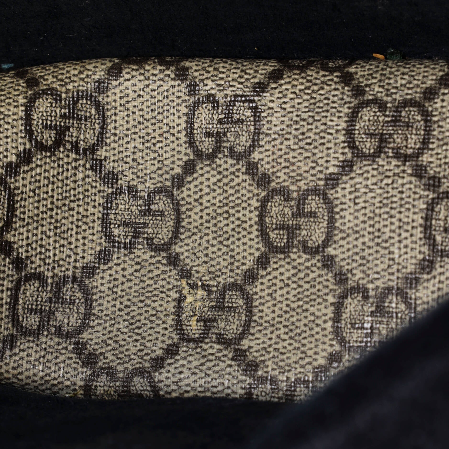 Dionysus Bag GG Coated Canvas Small