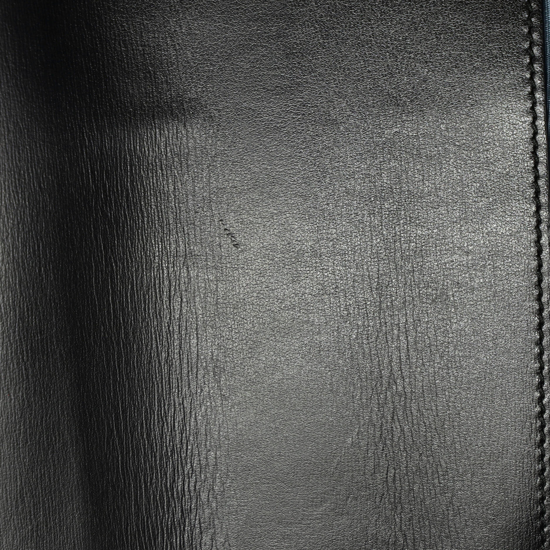Dionysus Bag Printed Leather Small