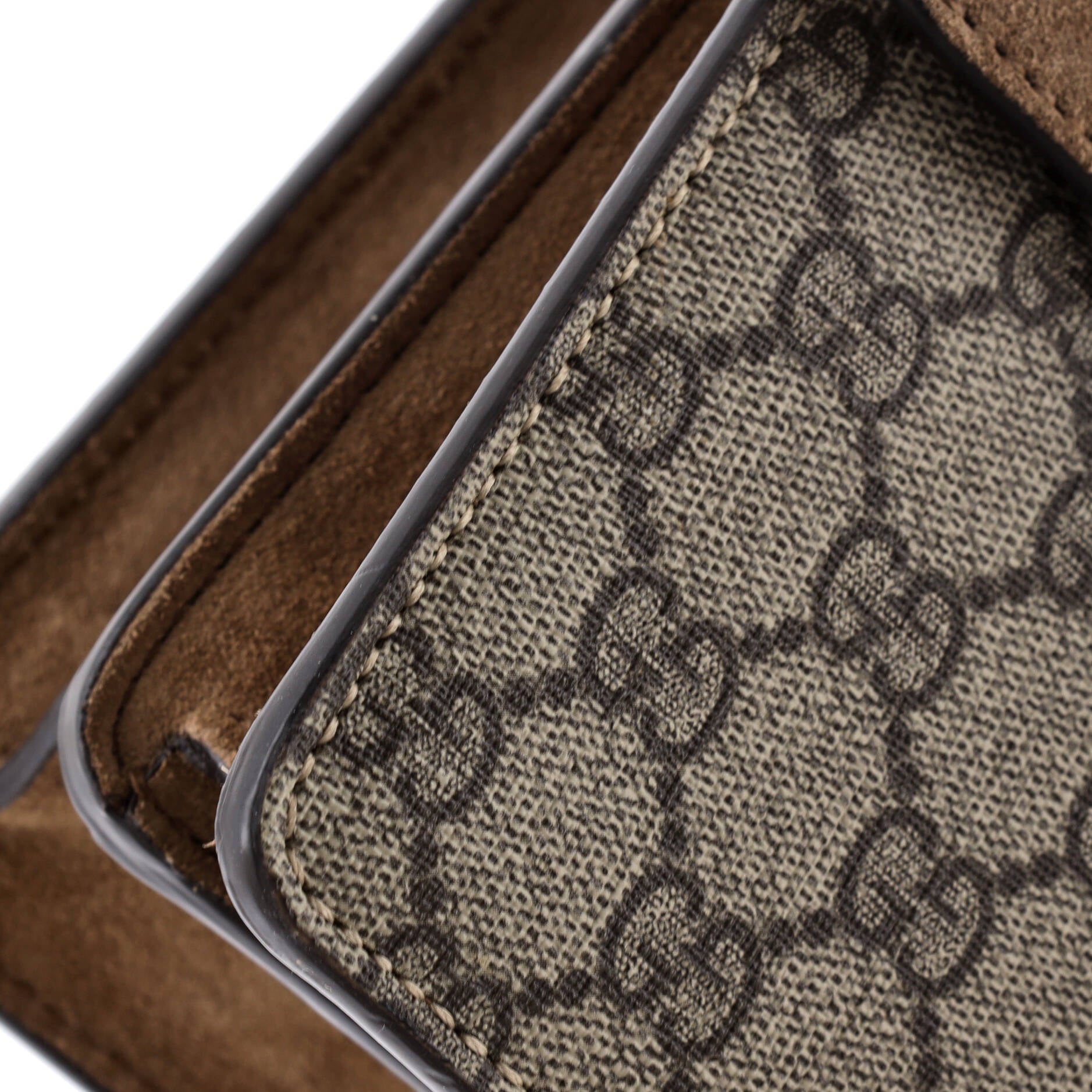 Dionysus Bag GG Coated Canvas Small