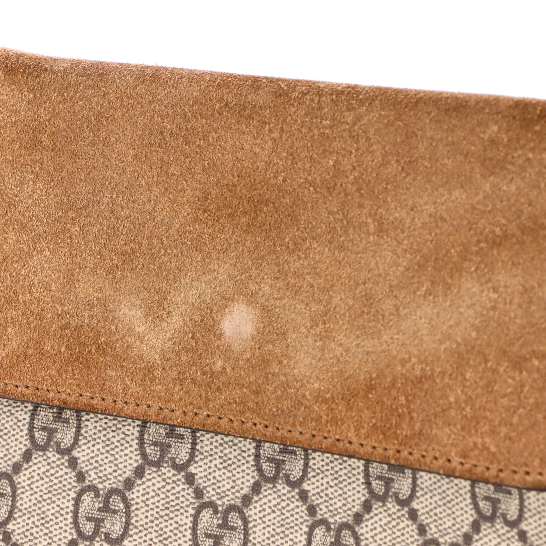 Dionysus Bag GG Coated Canvas Mini
