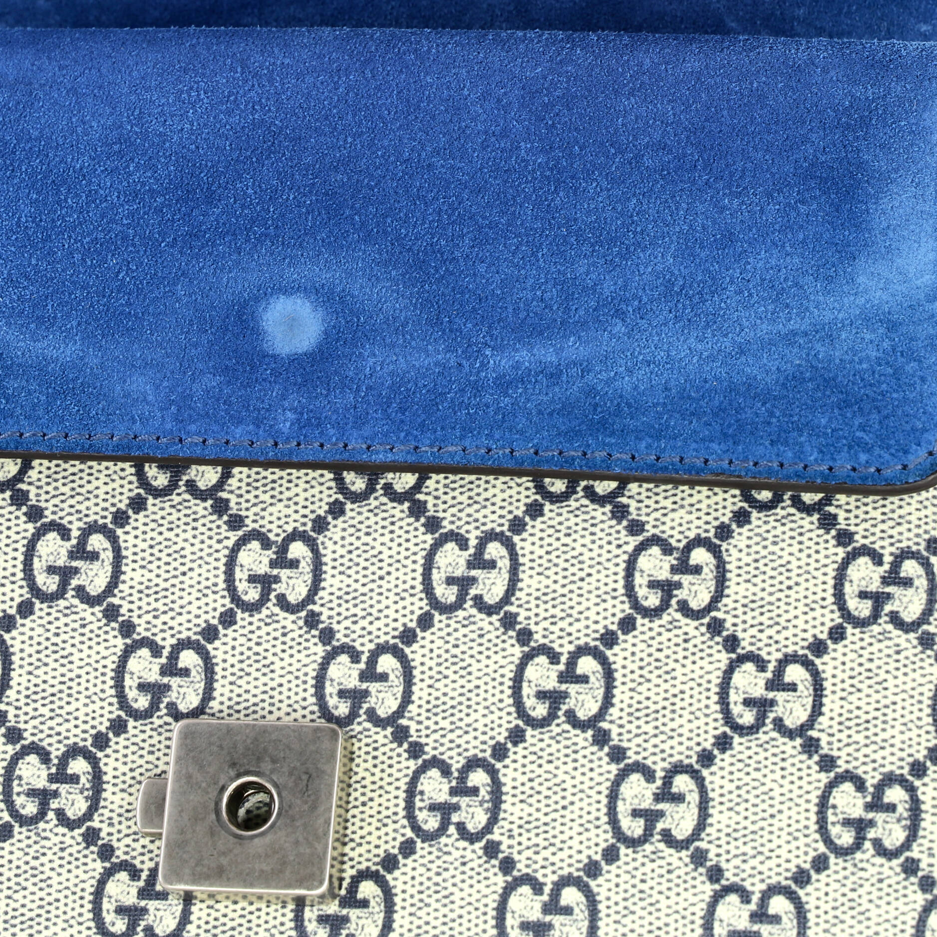 Dionysus Bag Blooms Print GG Coated Canvas Mini