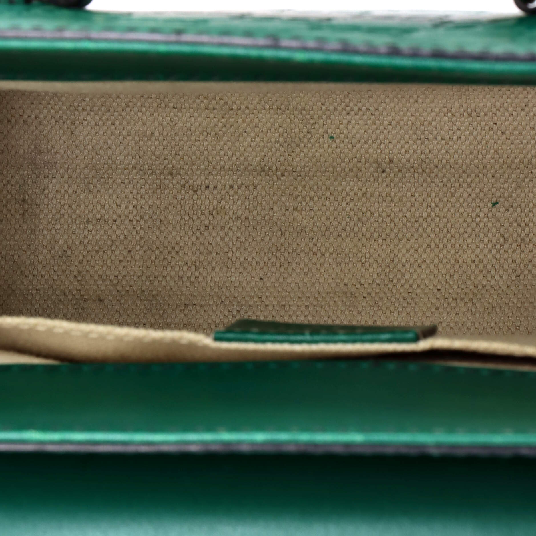 Emily Chain Flap Shoulder Bag Guccissima Leather Small