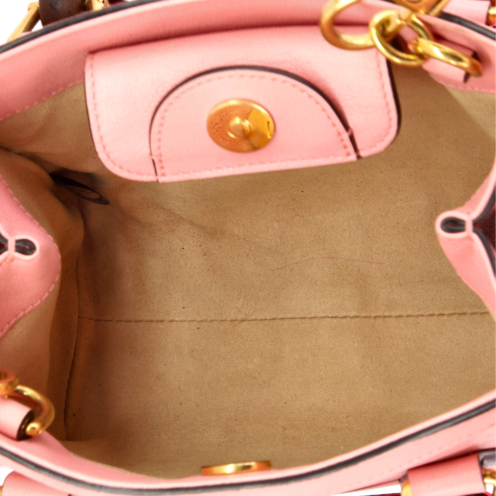 Diana NM Bamboo Handle Tote Leather Mini