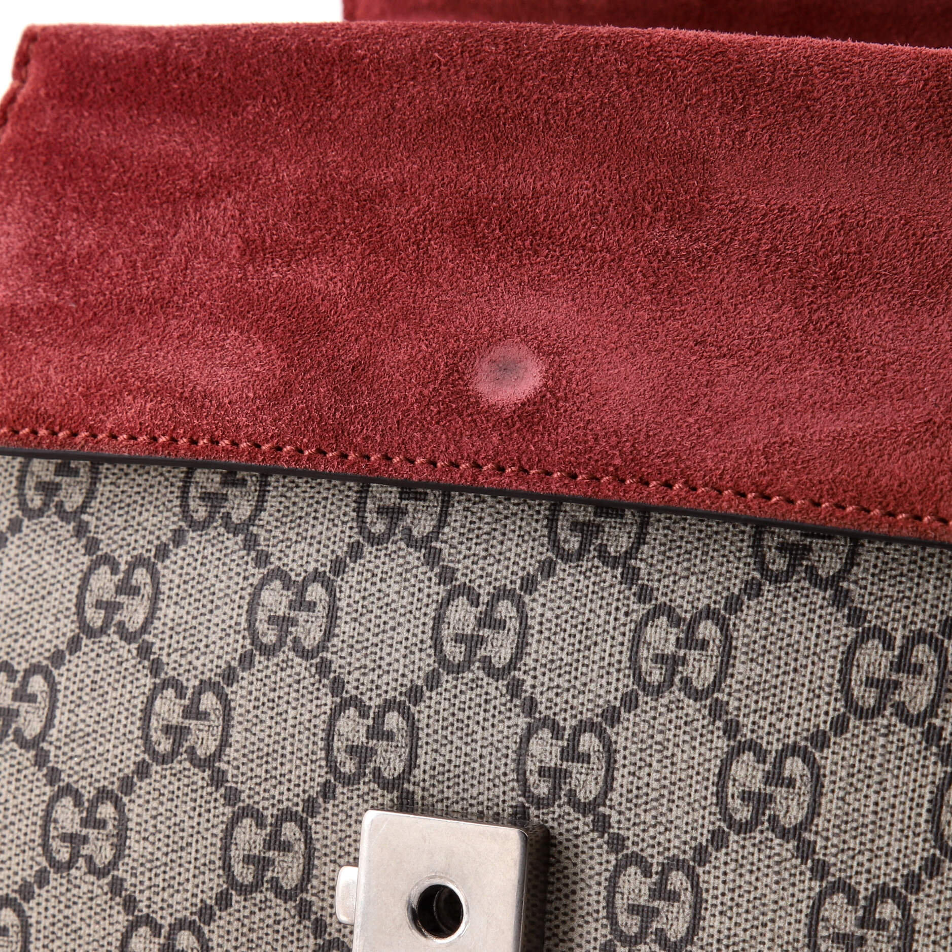 Dionysus Bag Blooms Print GG Coated Canvas Mini
