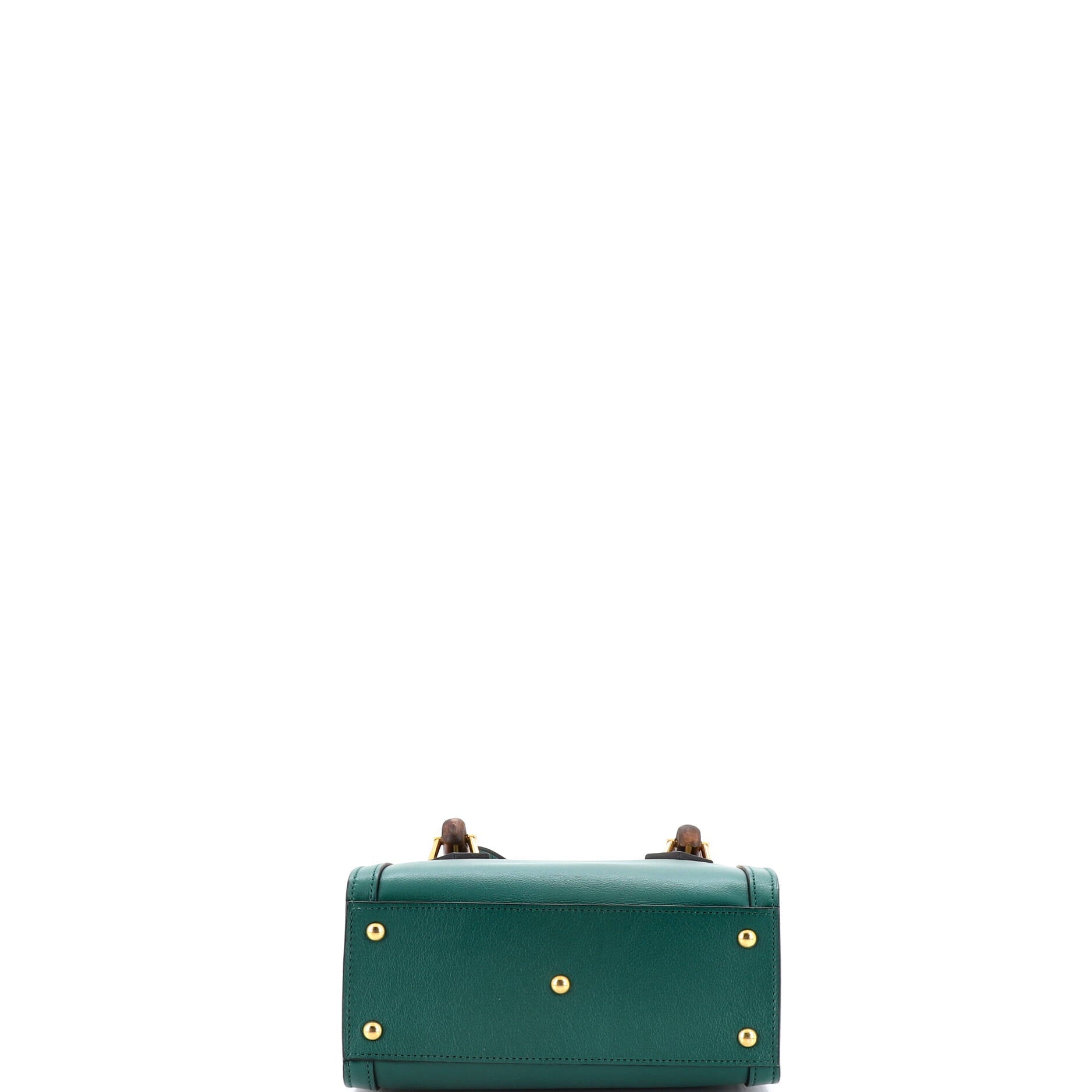 Diana NM Bamboo Handle Tote Leather Mini