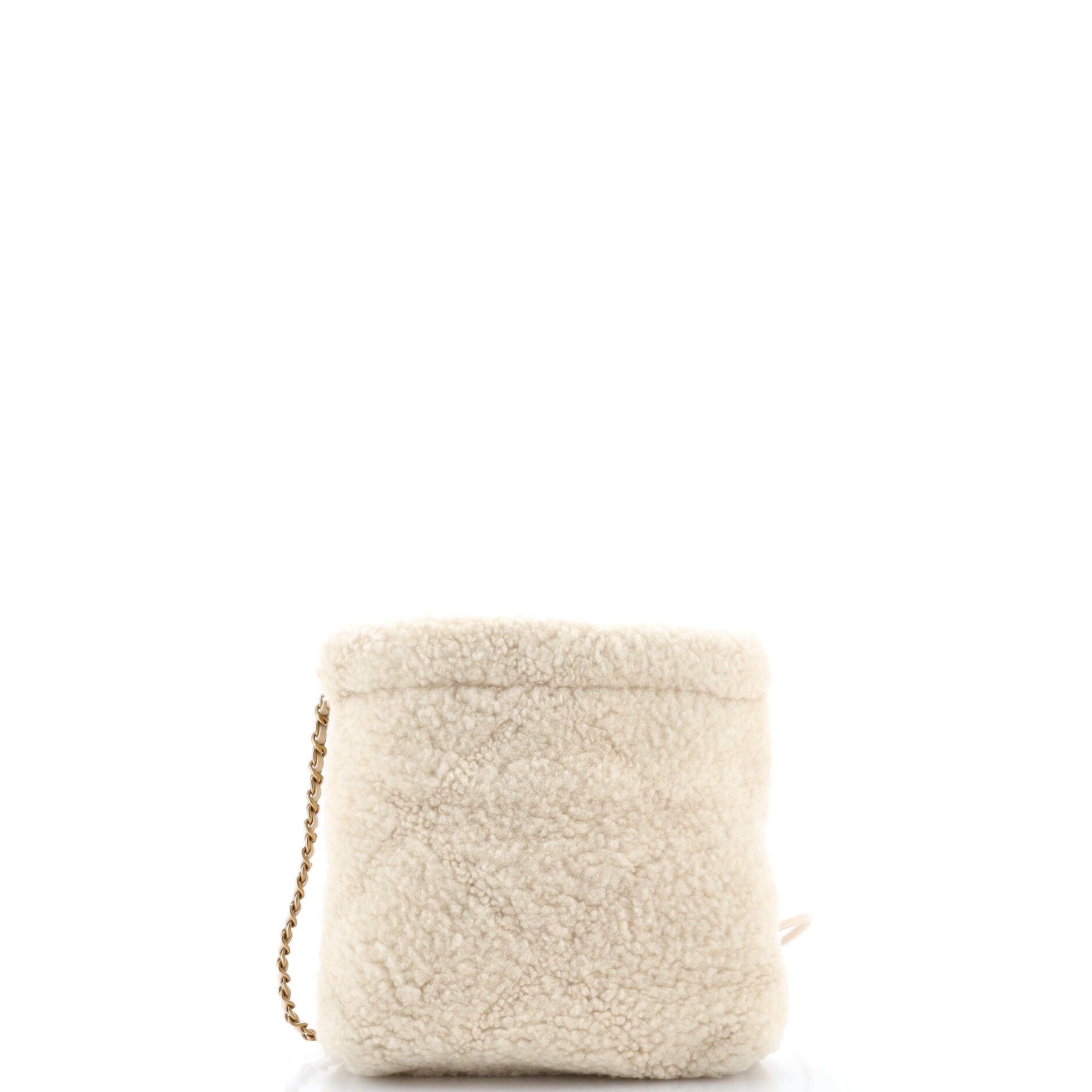 22 Chain Hobo Shearling Mini
