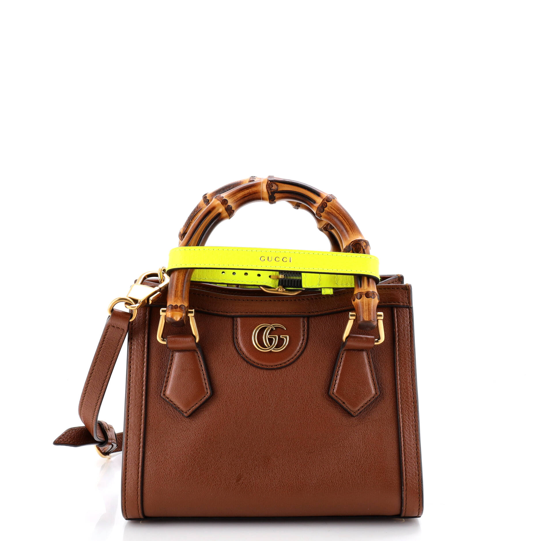Diana NM Bamboo Handle Tote Leather Mini