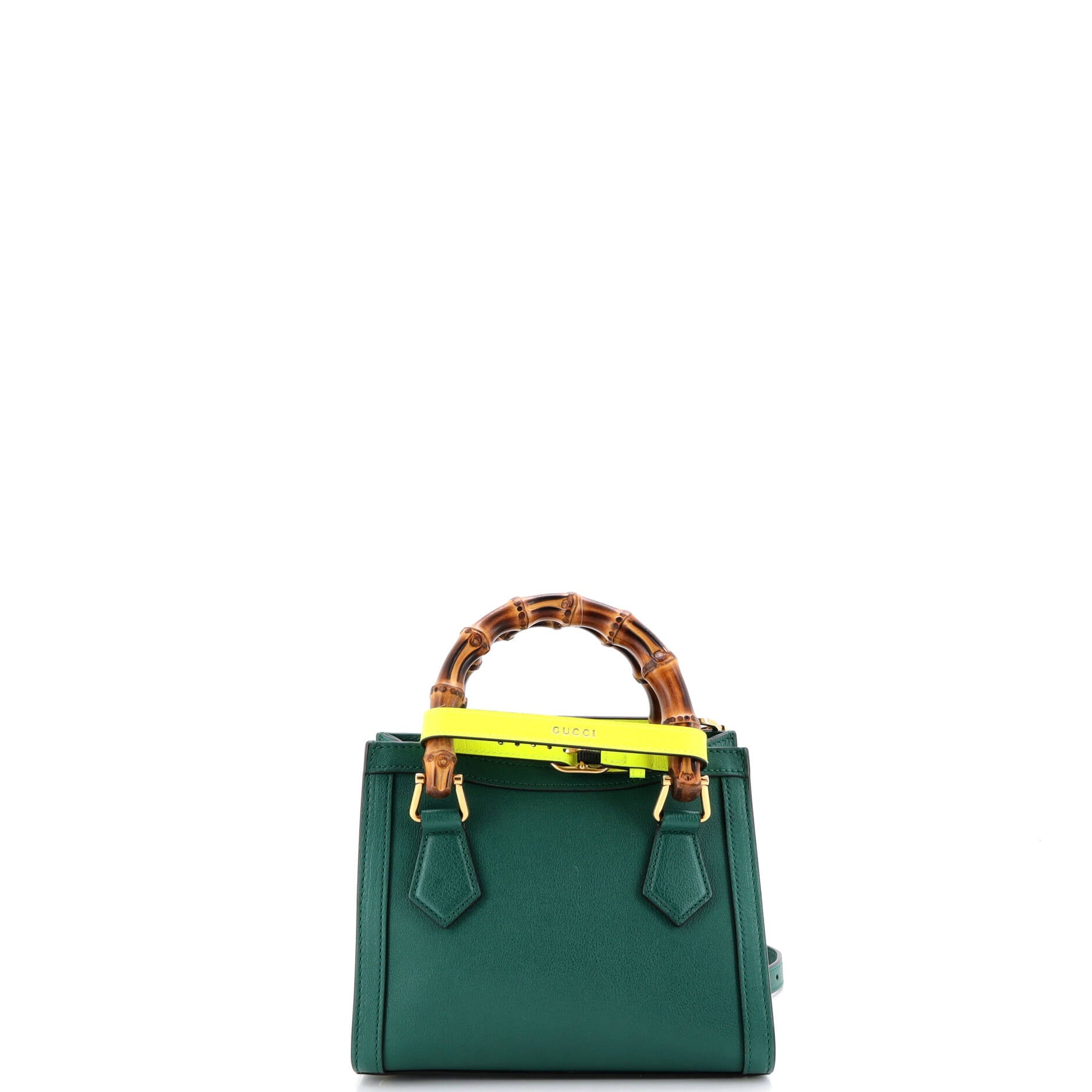Diana NM Bamboo Handle Tote Leather Mini