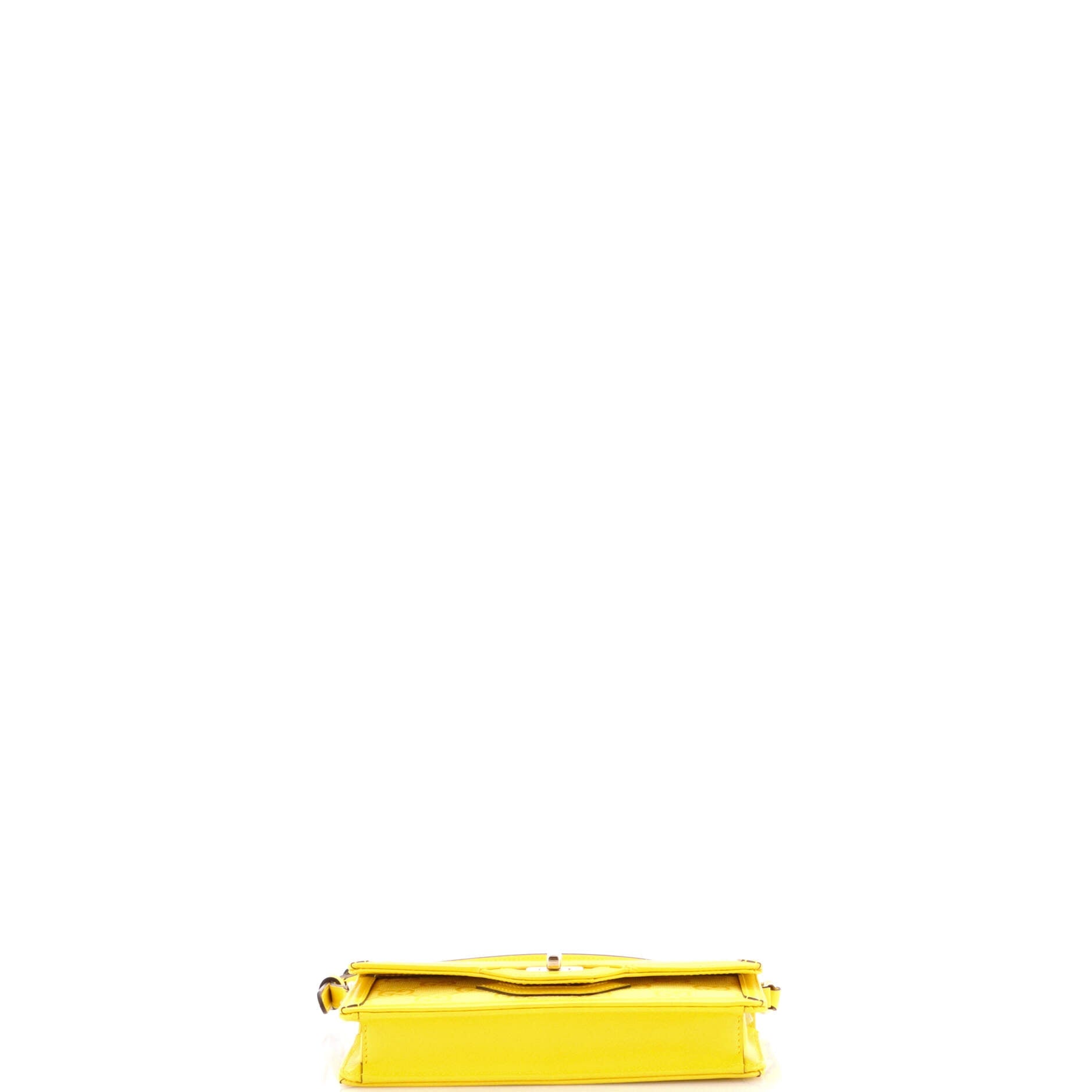 Luce Shoulder Bag GG Canvas Mini