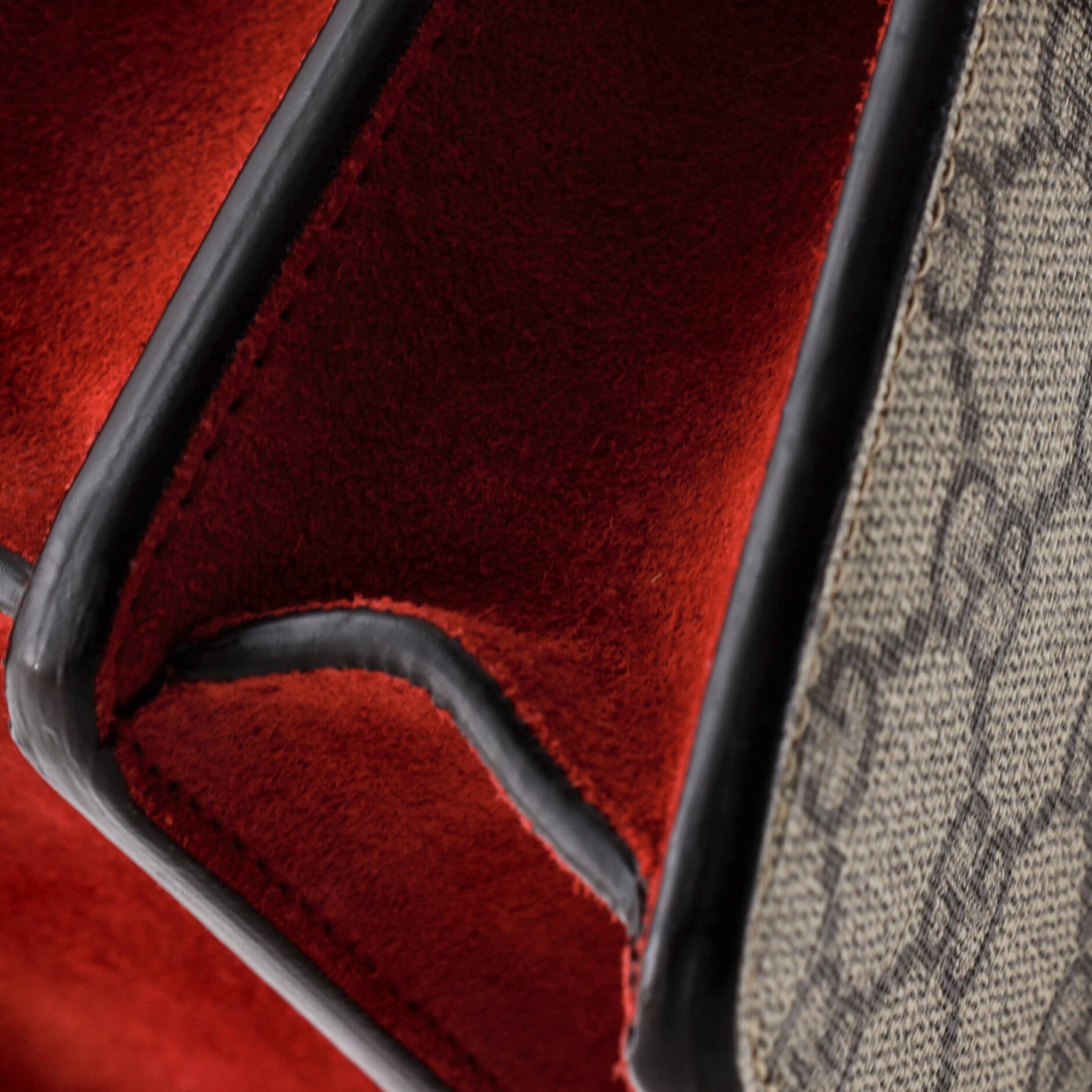 Dionysus Bag GG Coated Canvas Small