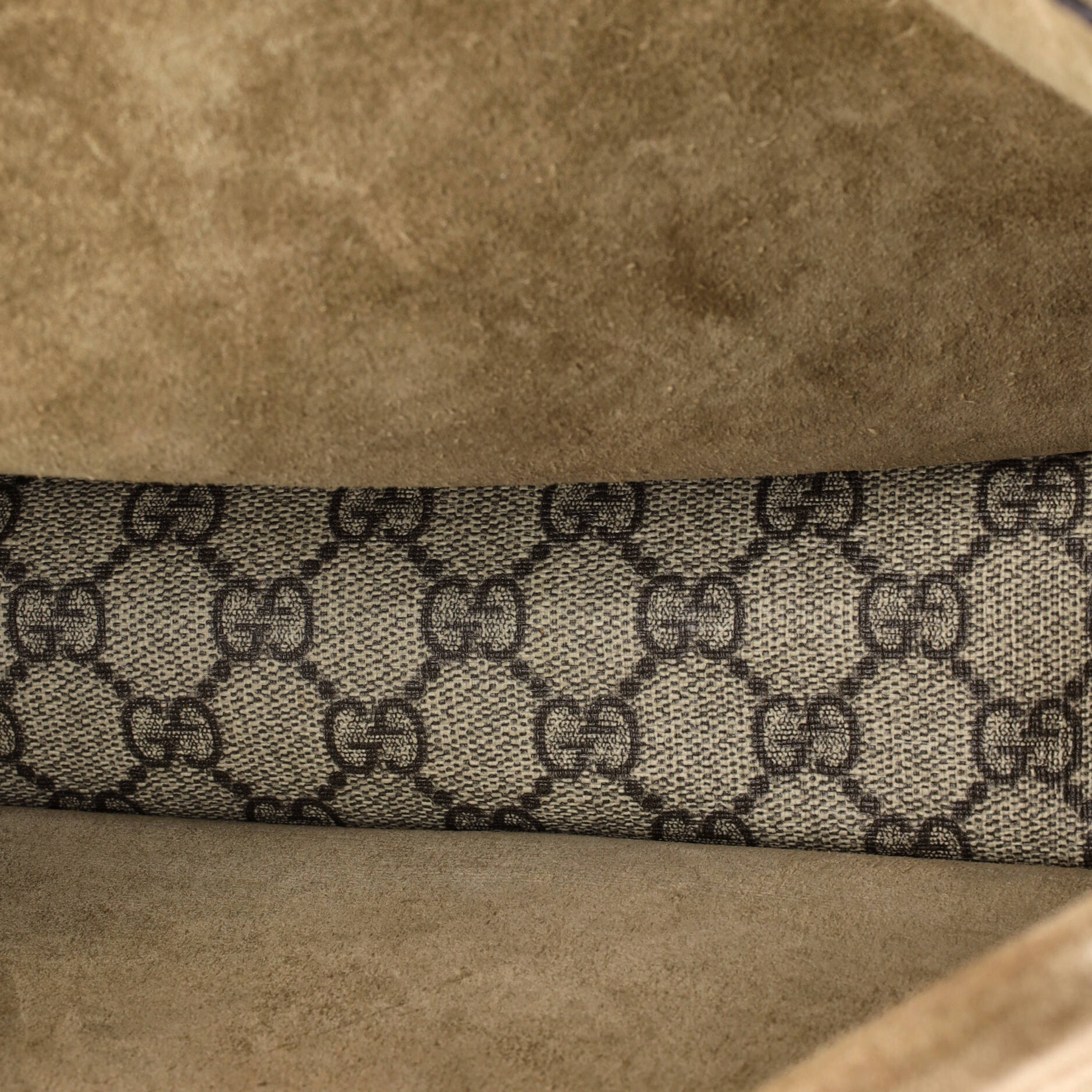 Dionysus Bag GG Coated Canvas Medium