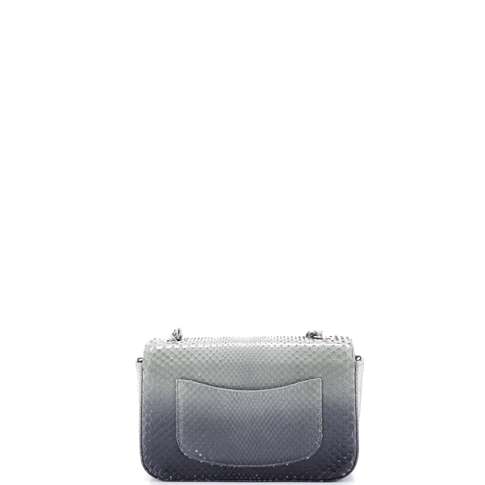 Classic Single Flap Bag Python Mini