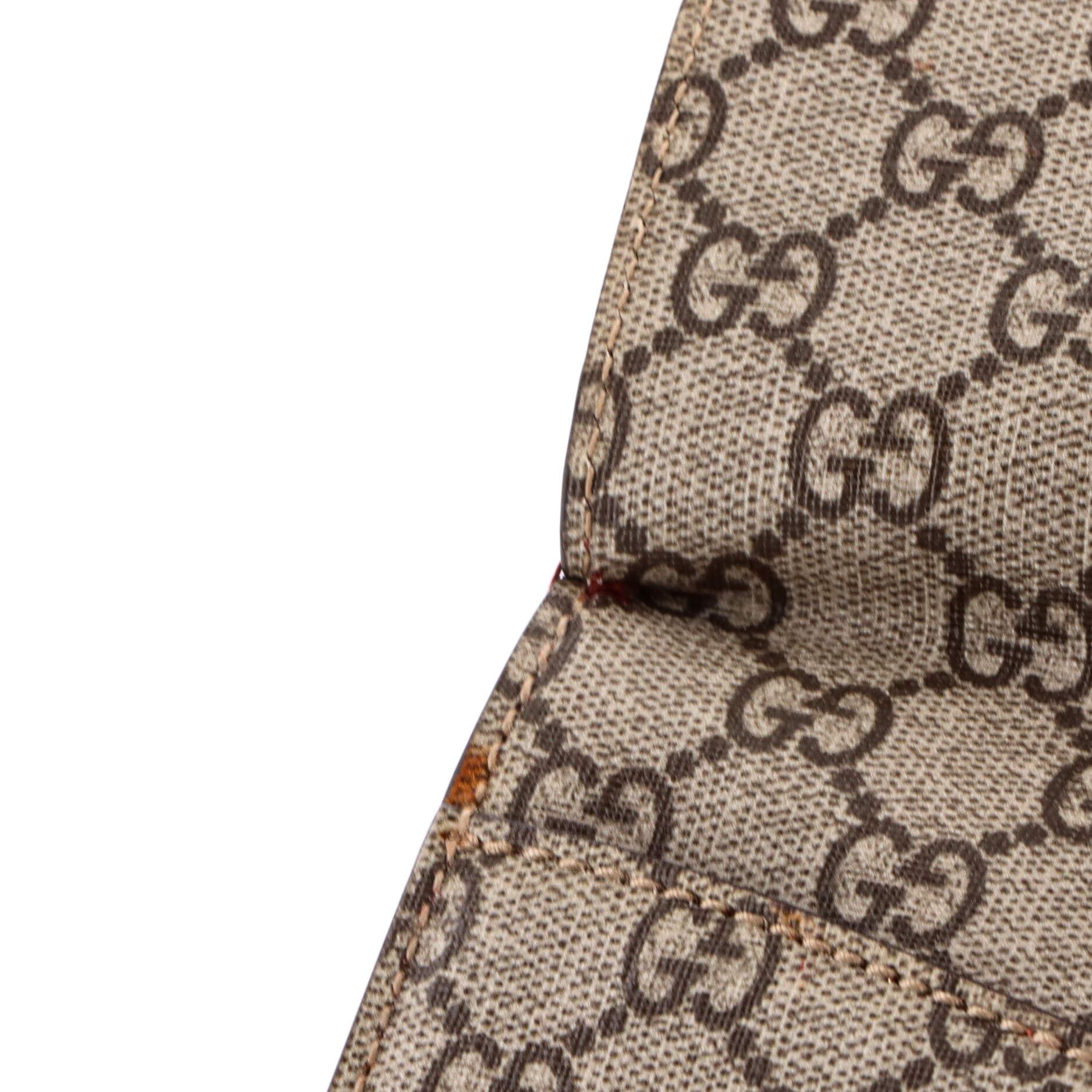 Dionysus Bag Blooms Print GG Coated Canvas Small