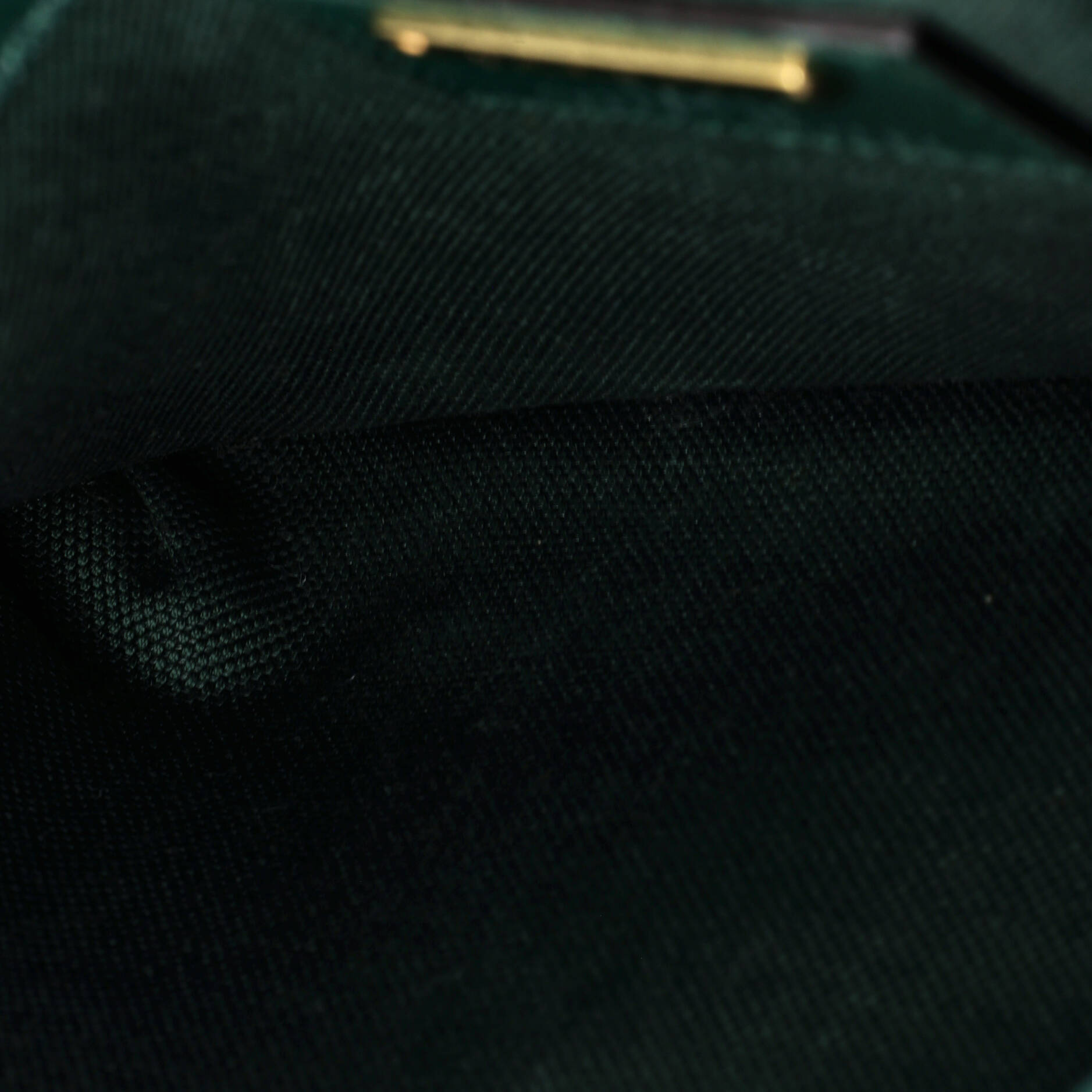 100 Belt Bag Limited Edition Canvas