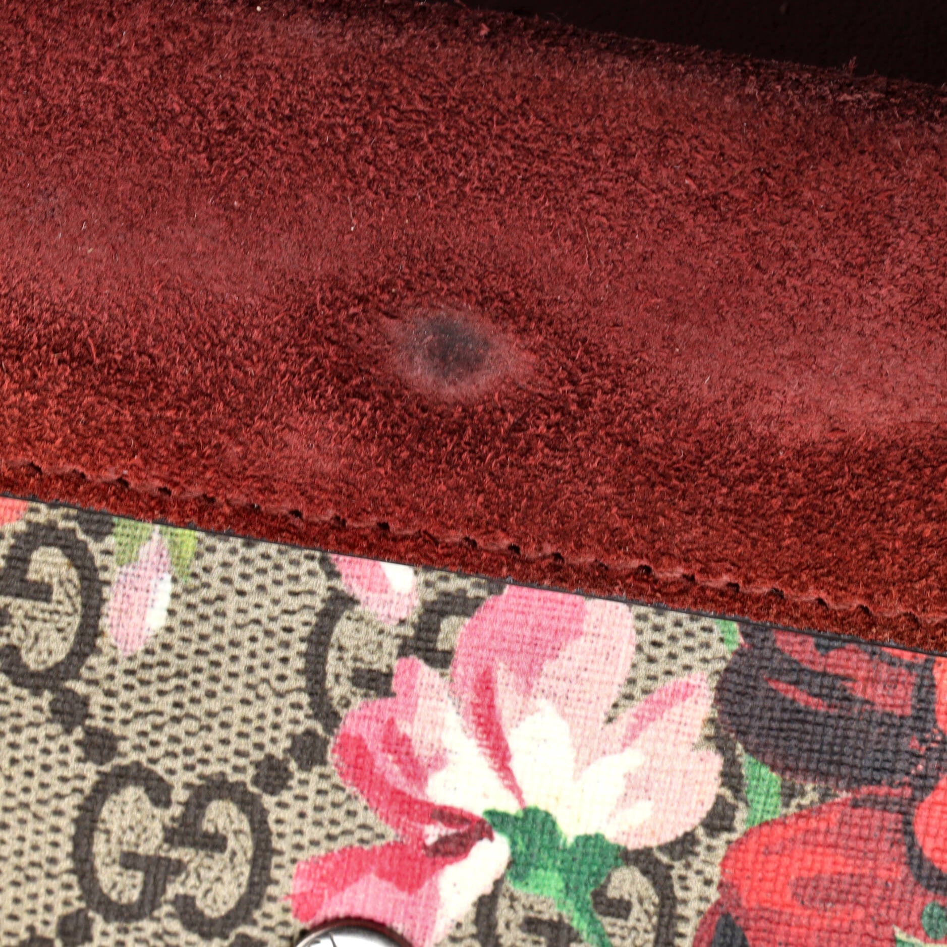 Dionysus Bag Blooms Print GG Coated Canvas Super Mini