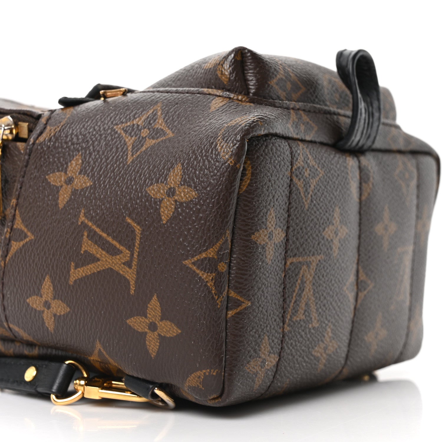 Monogram Palm Springs Backpack Mini