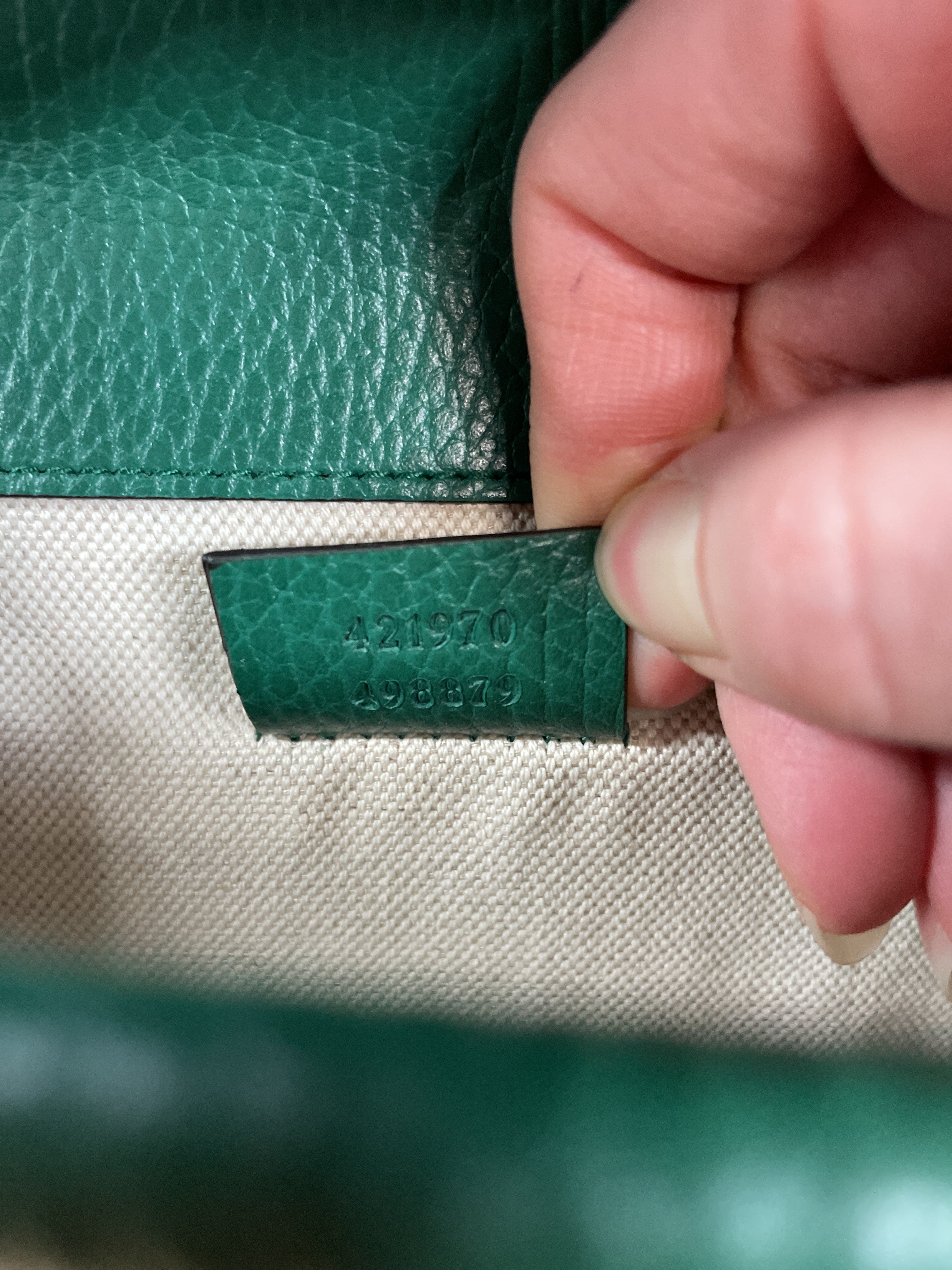 Dionysus Bag Leather Mini