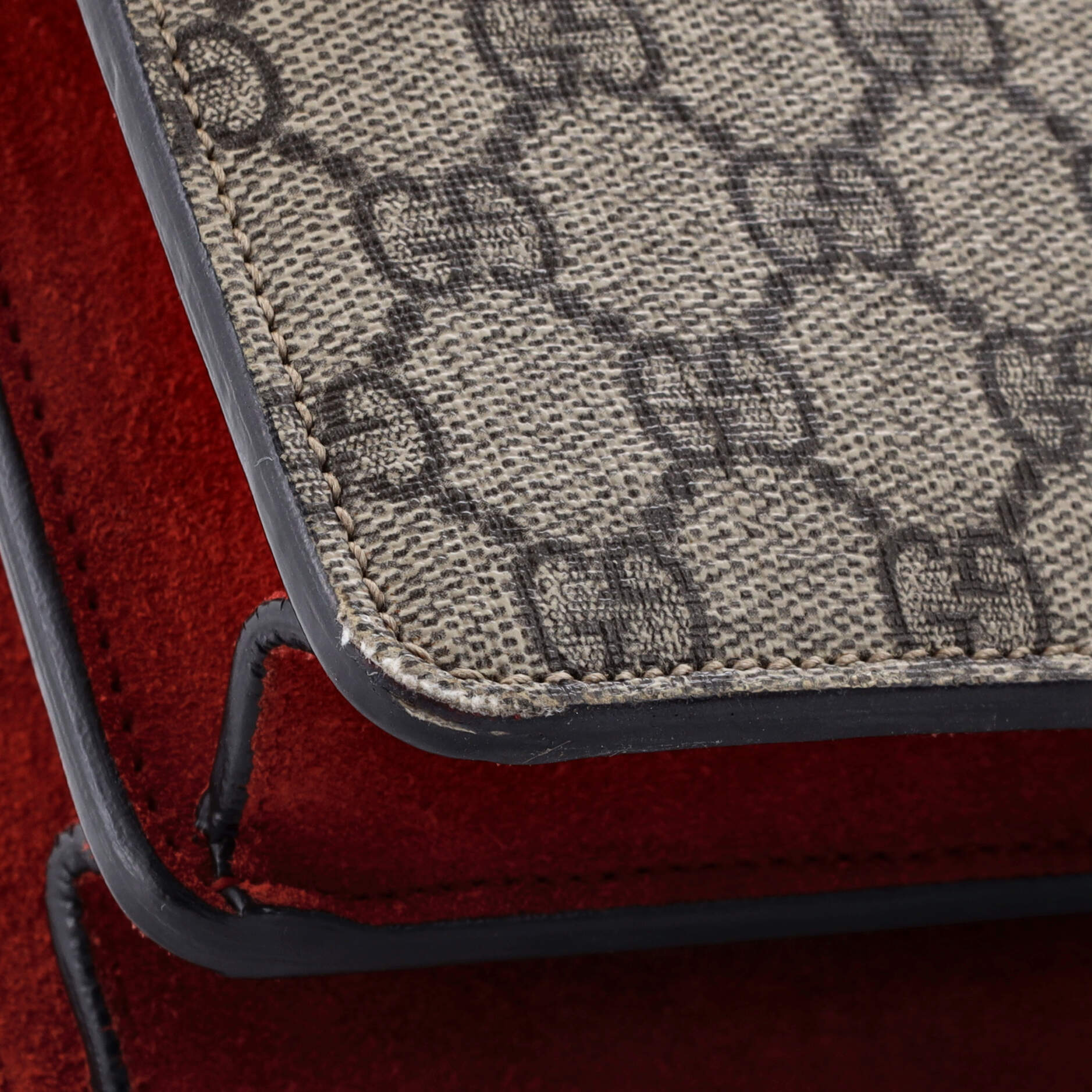 Dionysus Bag GG Coated Canvas Medium