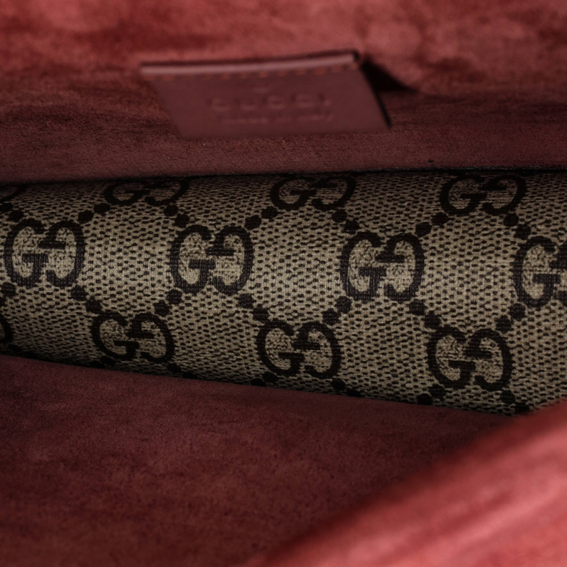Dionysus Bag Blooms Print GG Coated Canvas Mini