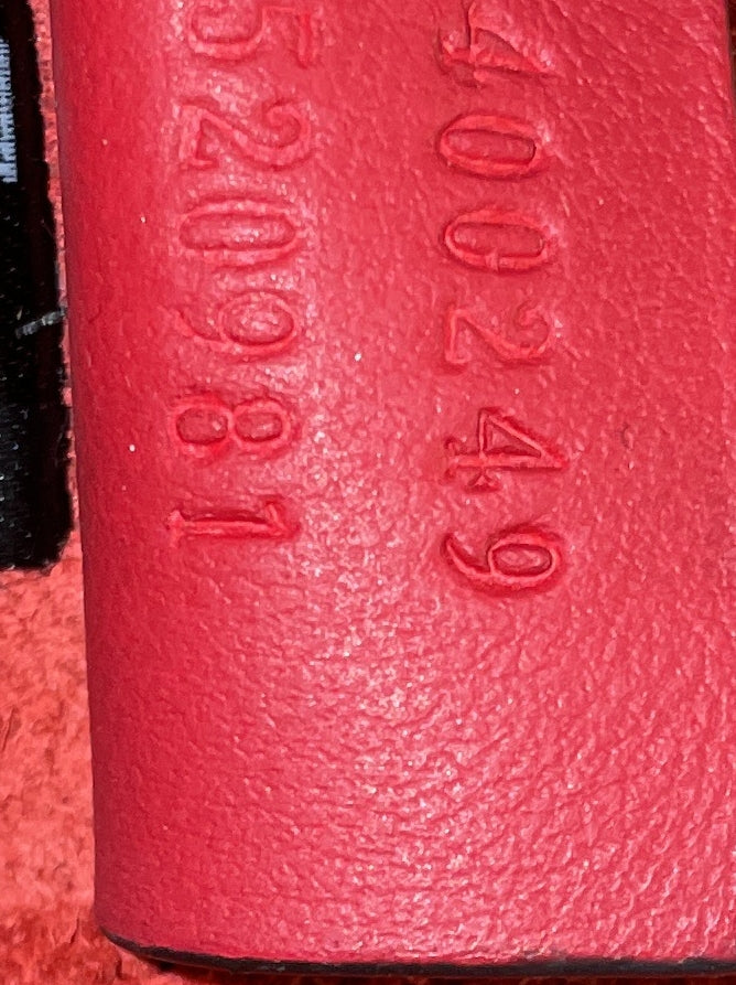 Dionysus Bag GG Coated Canvas Medium