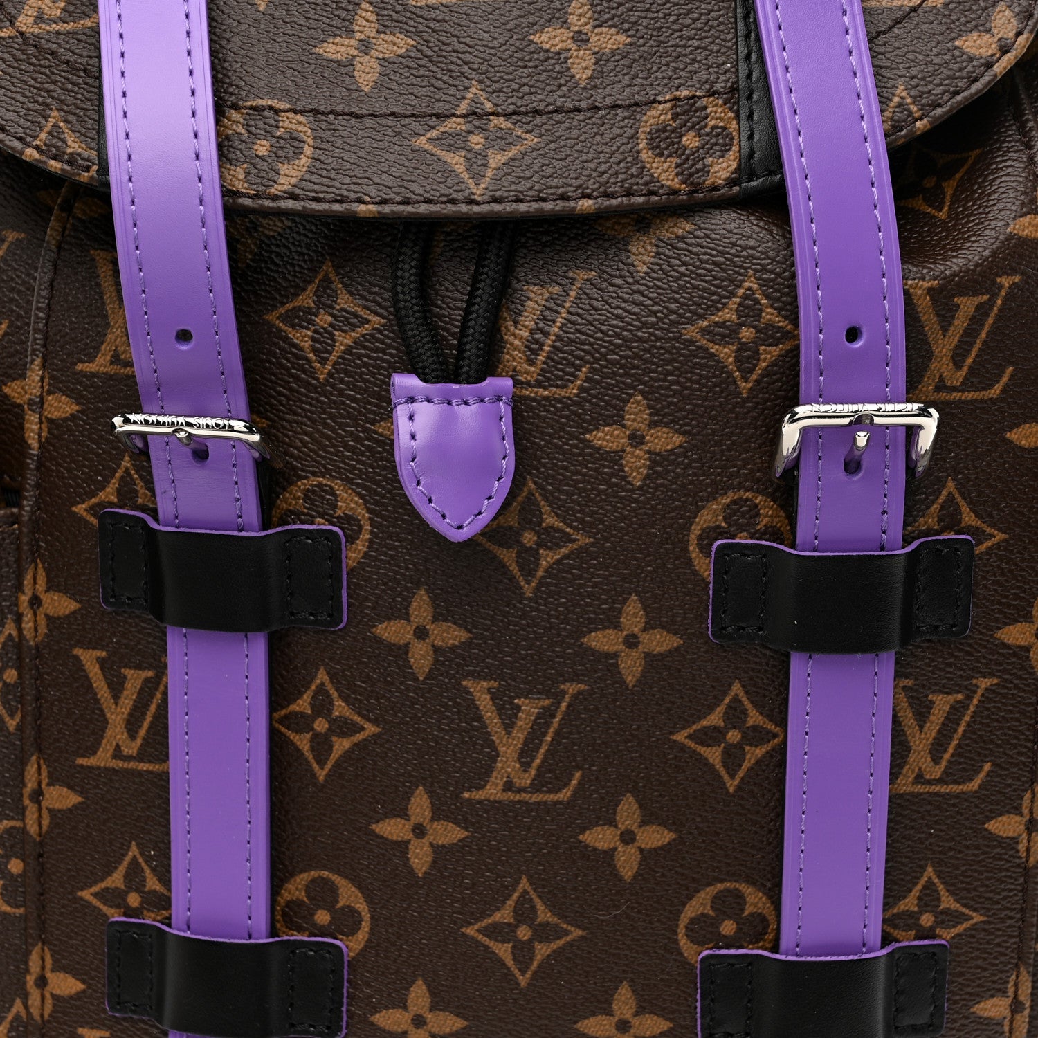 Monogram Macassar Christopher MM Backpack Purple