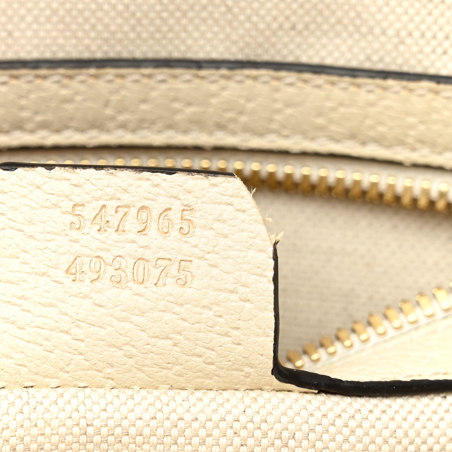 GG Supreme Monogram Flora Web Small Ophidia Day Backpack White