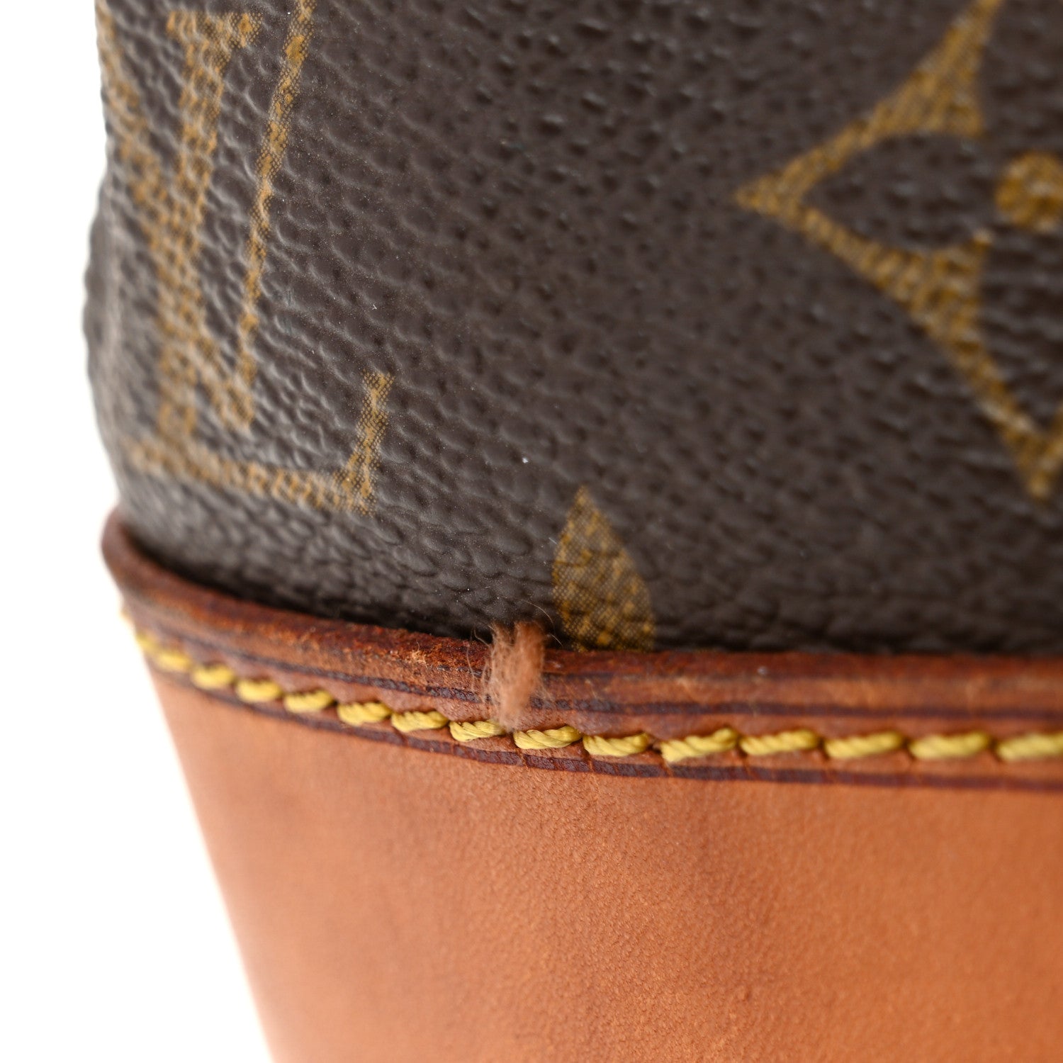 Monogram Randonnee GM Backpack