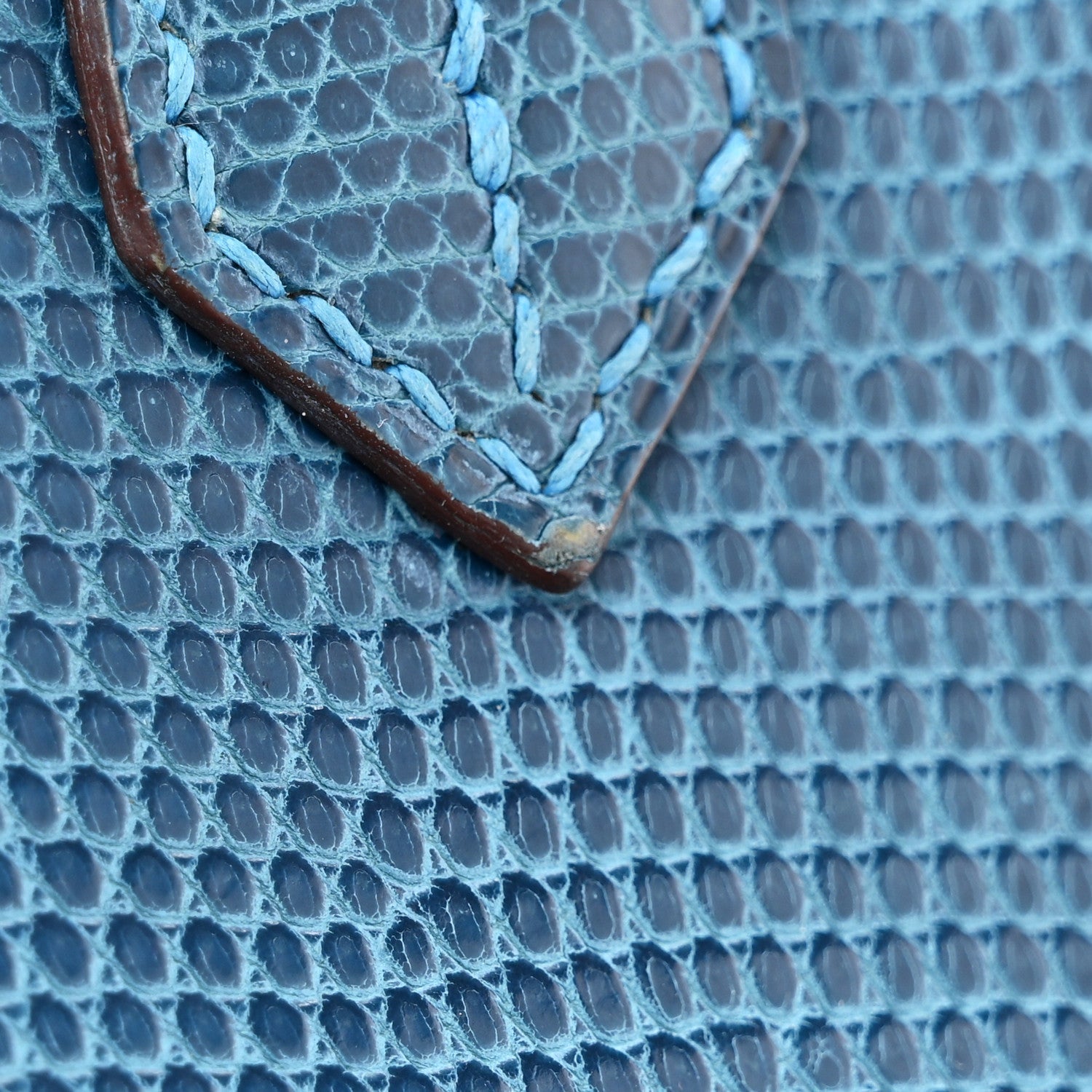 Lizard Birkin 25 Mykonos