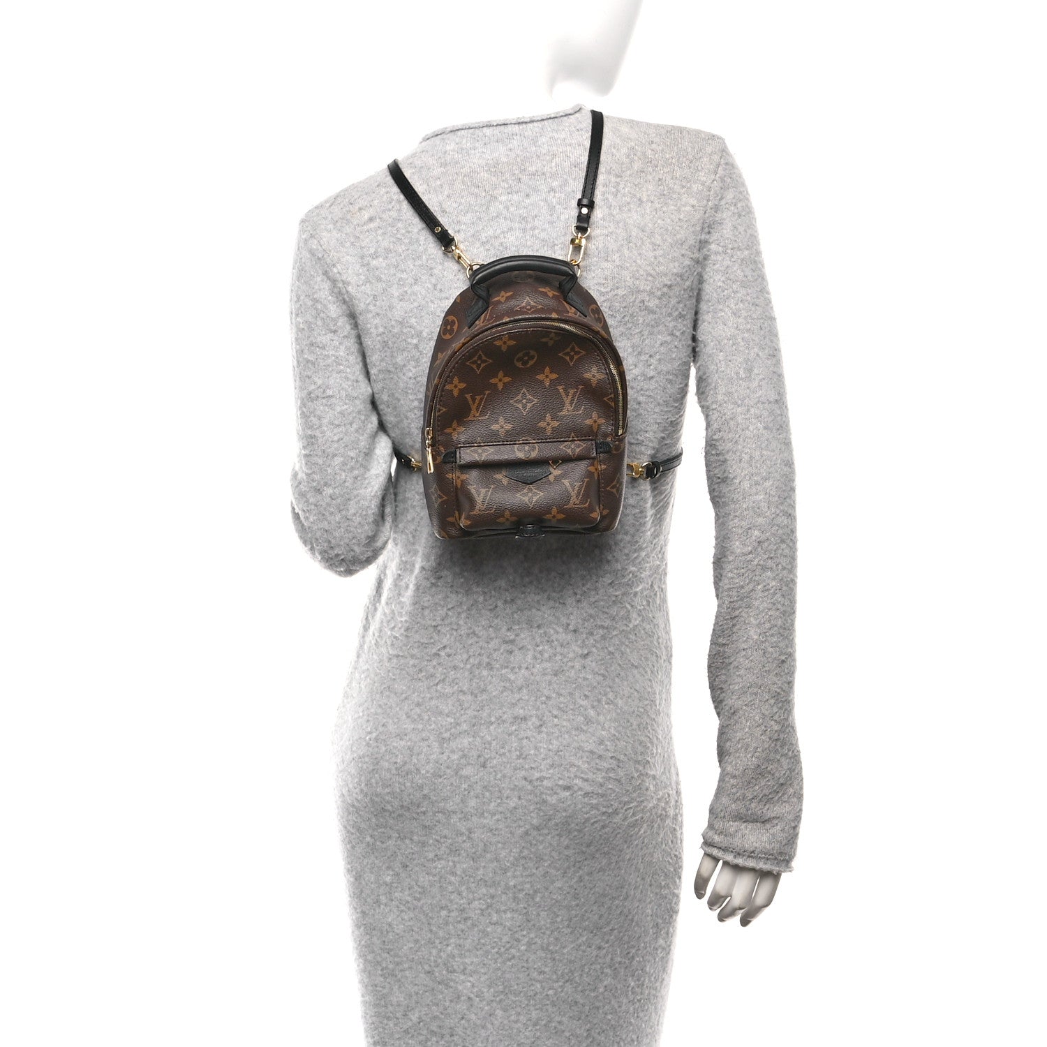 Monogram Palm Springs Backpack Mini