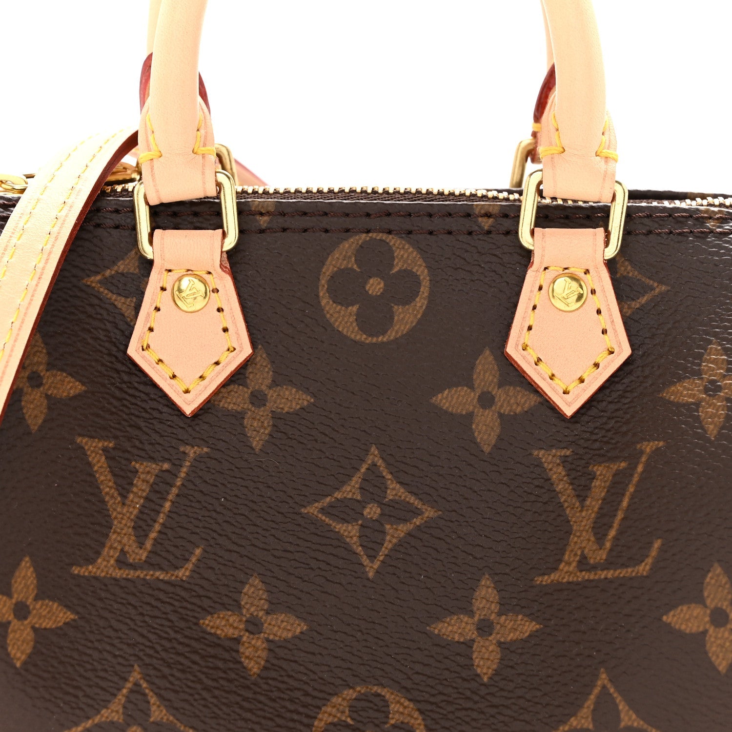 Monogram Nano Speedy