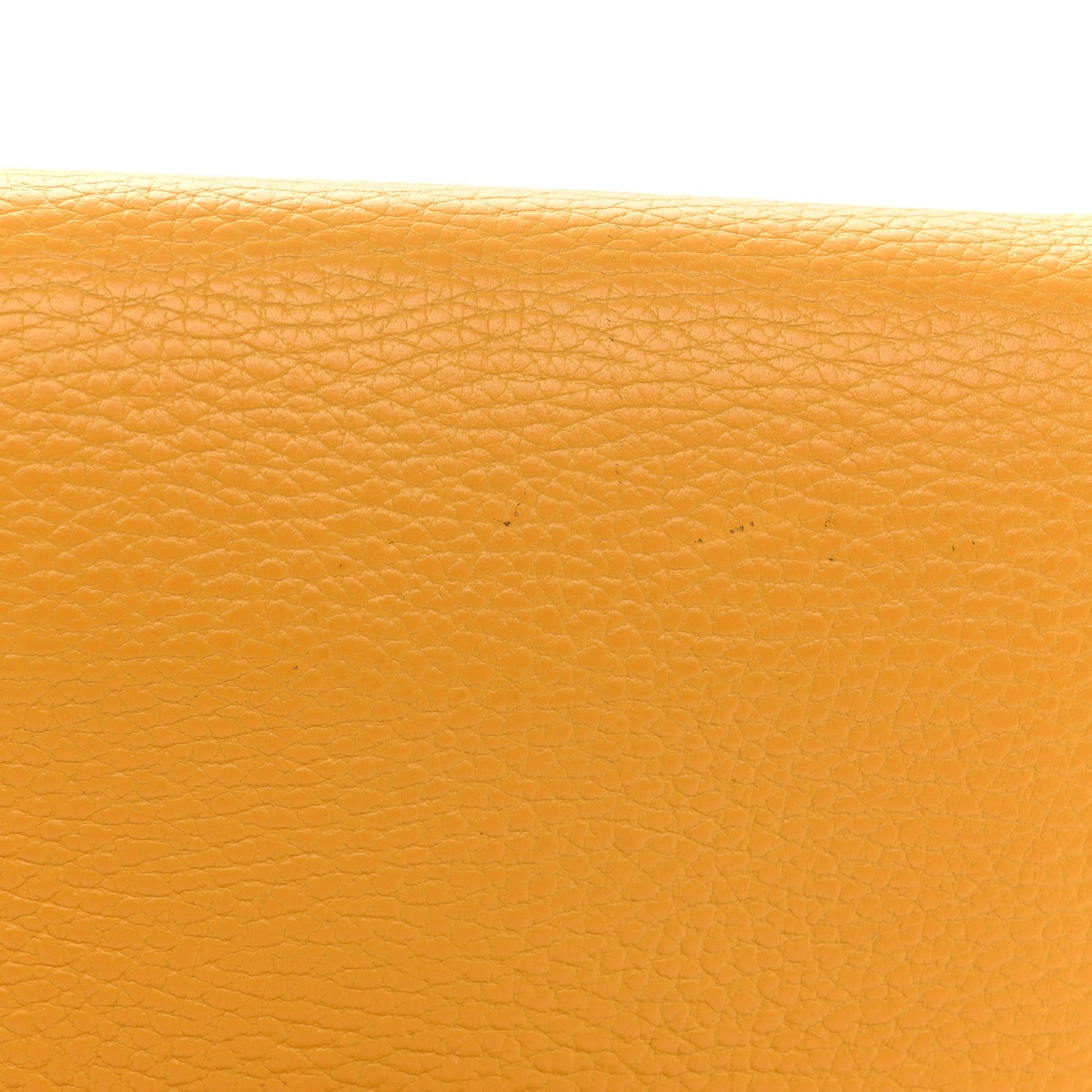 Calfskin Garden Dionysus Chain Wallet Yellow