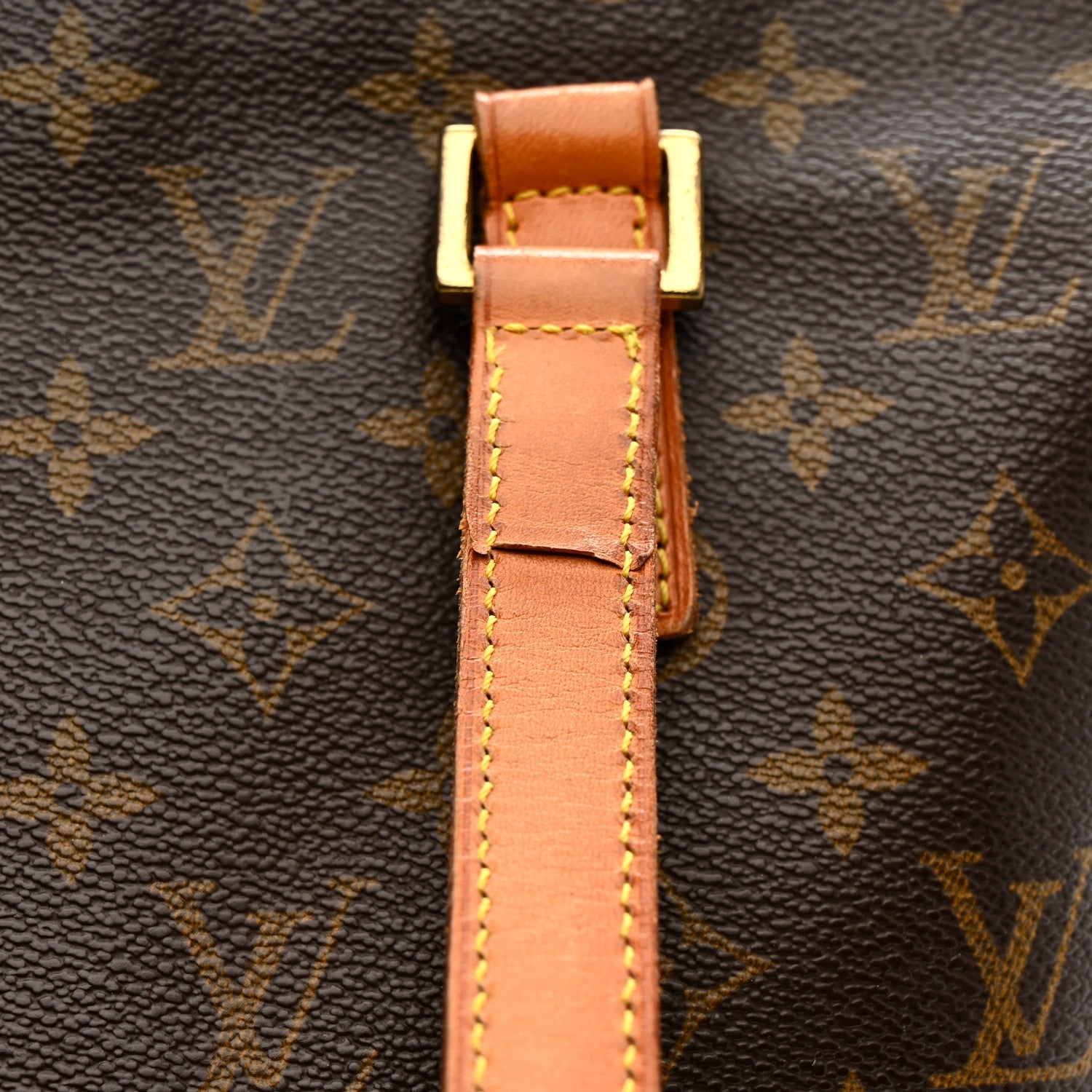 Monogram Cabas Mezzo