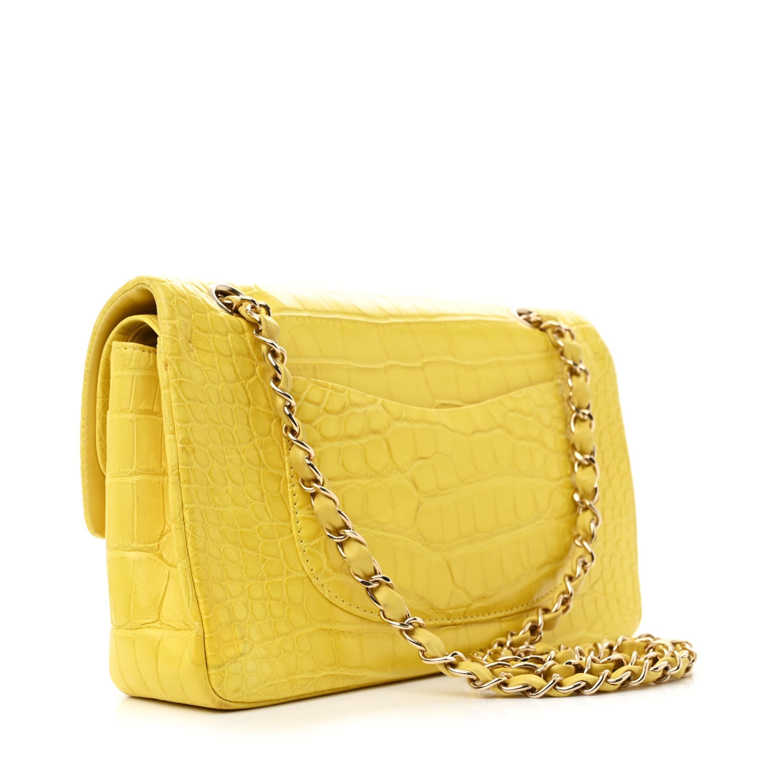 Alligator Medium Double Flap Yellow