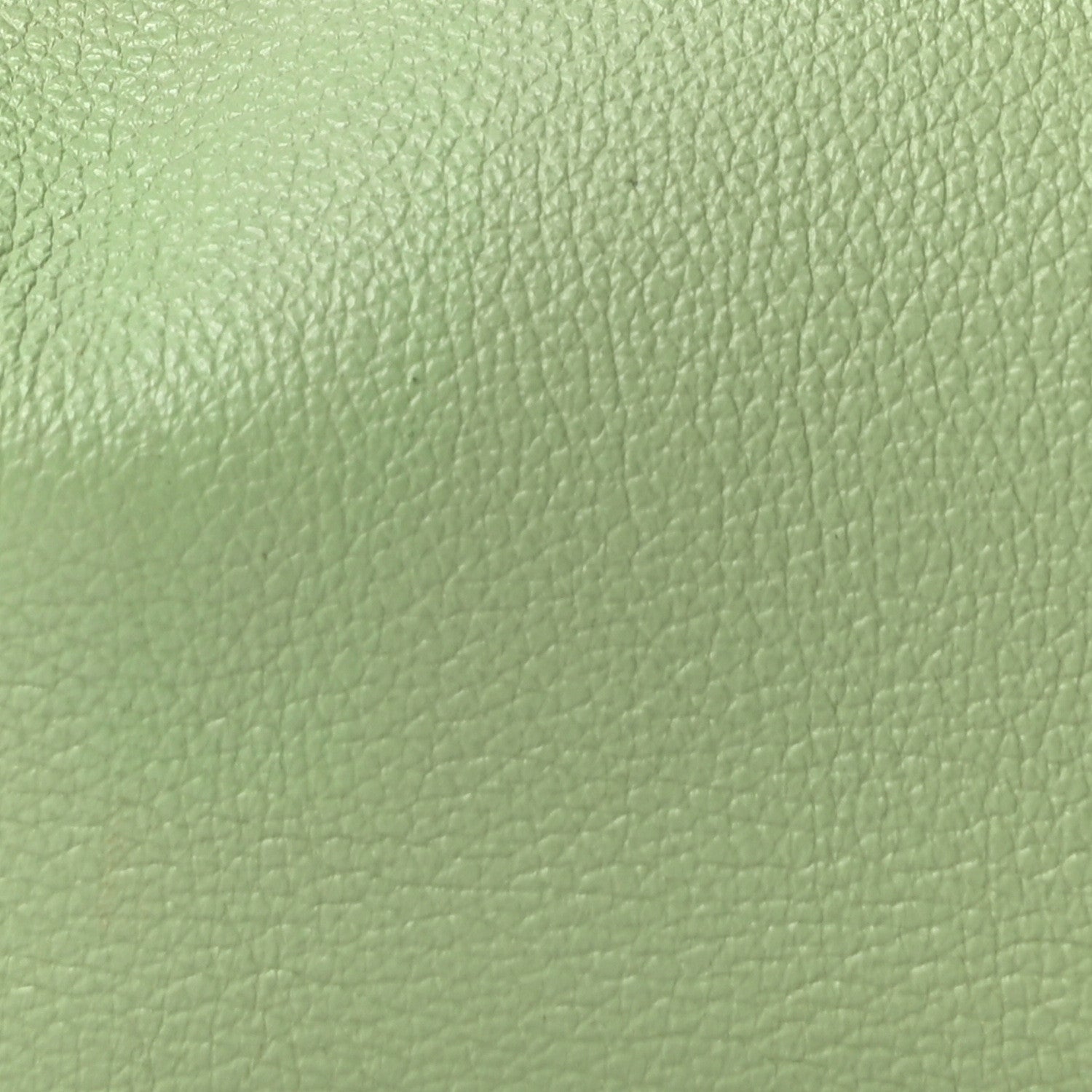 Evercolor Lindy 26 Vert Criquet