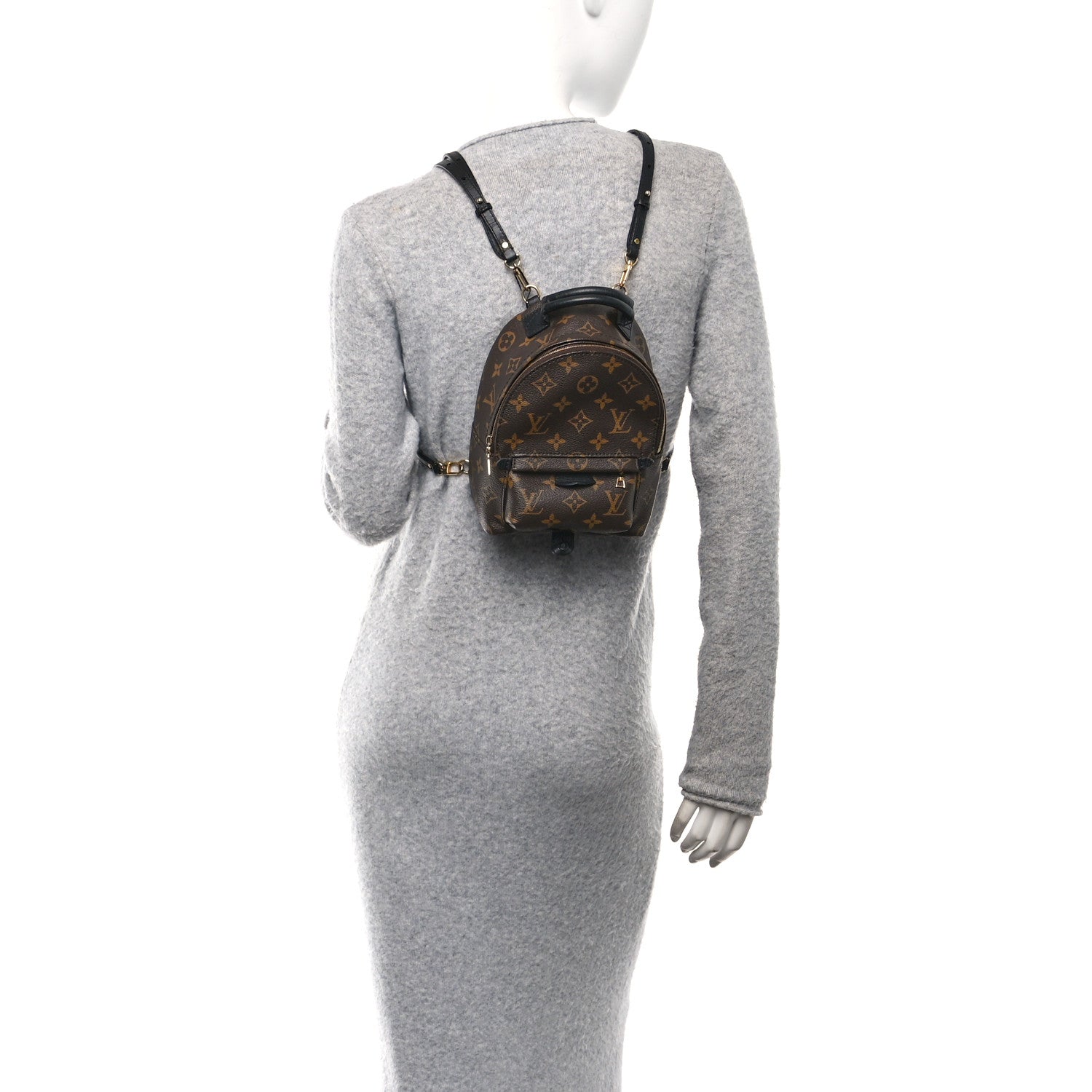 Monogram Palm Springs Backpack Mini