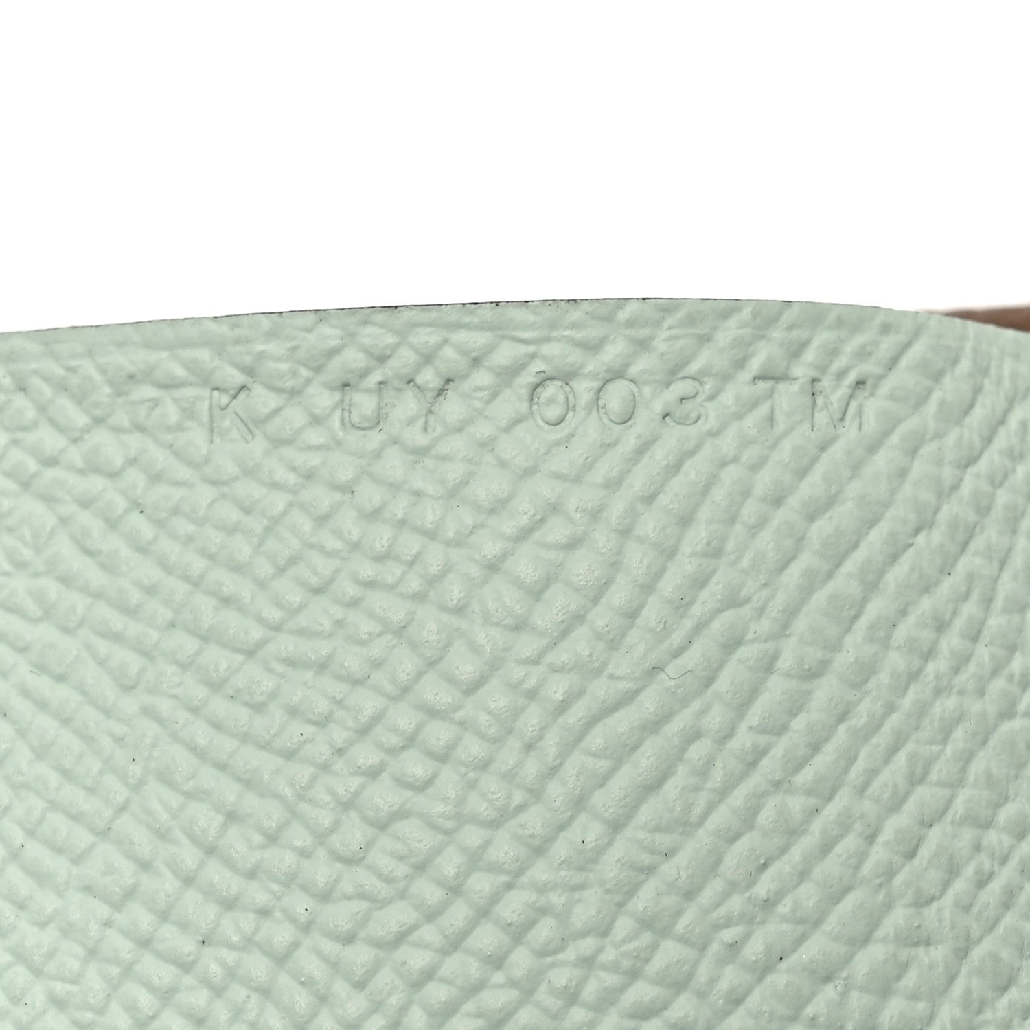 Epsom Verso Calvi Duo Card Case Alezan Vert Peppermint