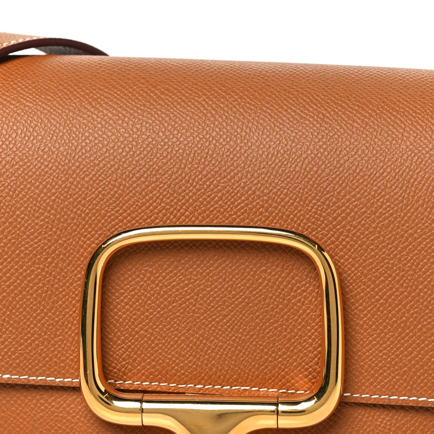 Epsom Della Cavalleria Elan Gold