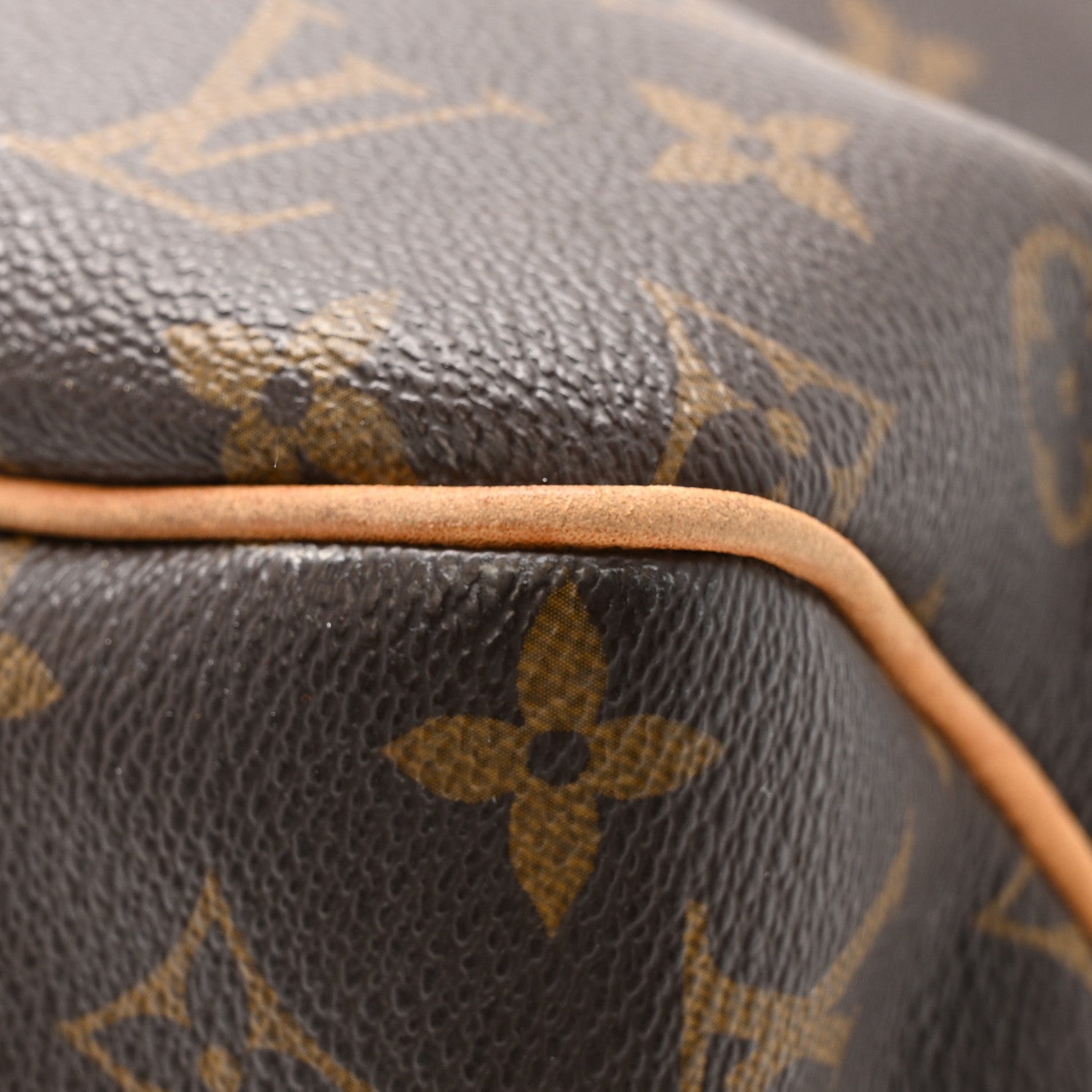 Monogram Delightful MM