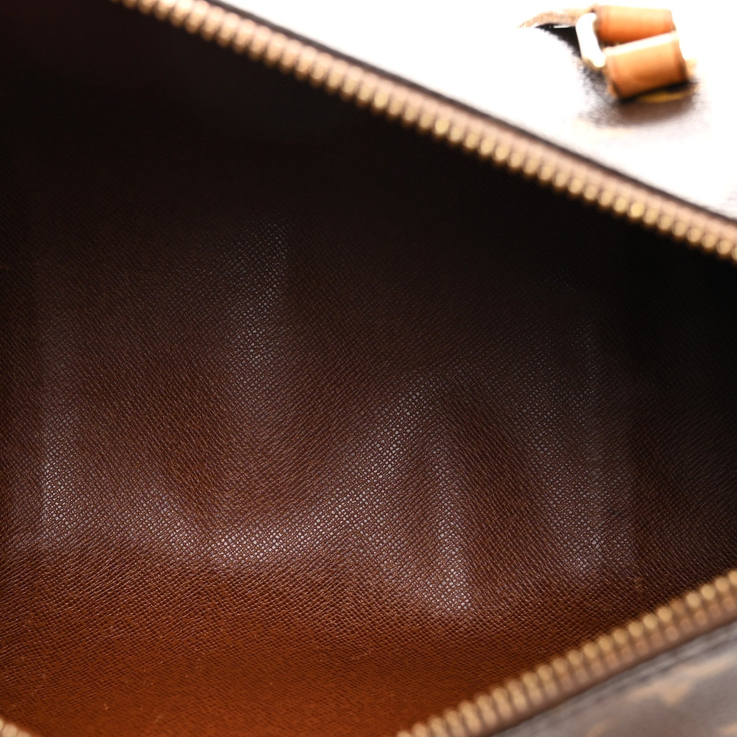 Monogram Papillon 30 with Companion