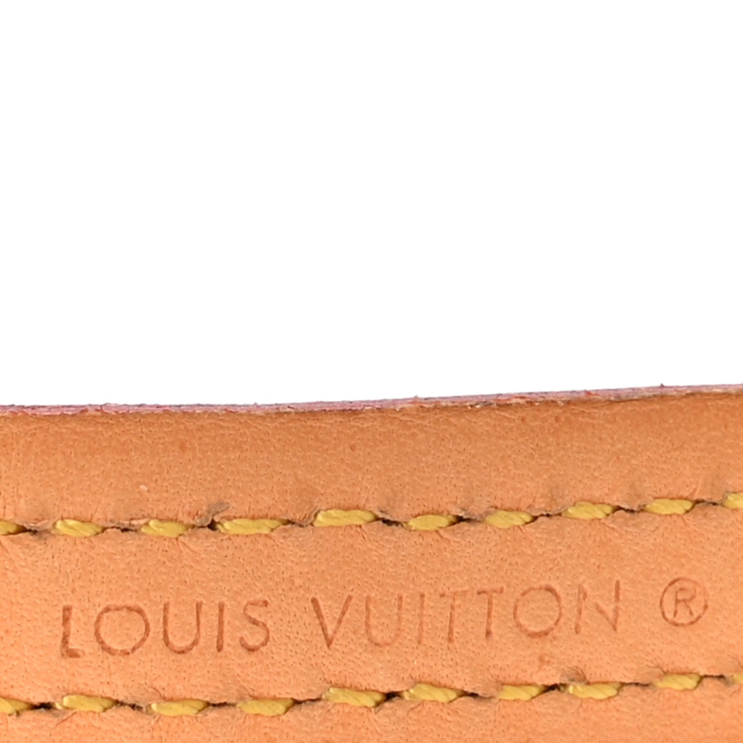 Monogram Baxter Dog Leash MM