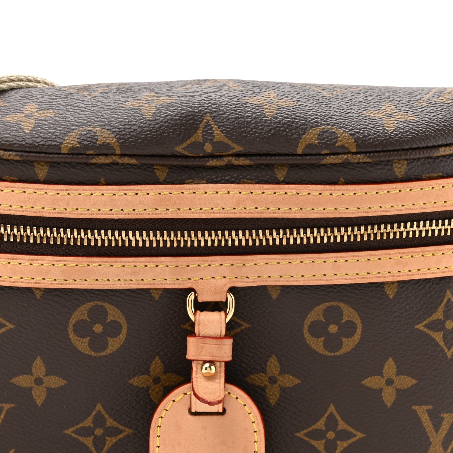Monogram High Rise Bumbag